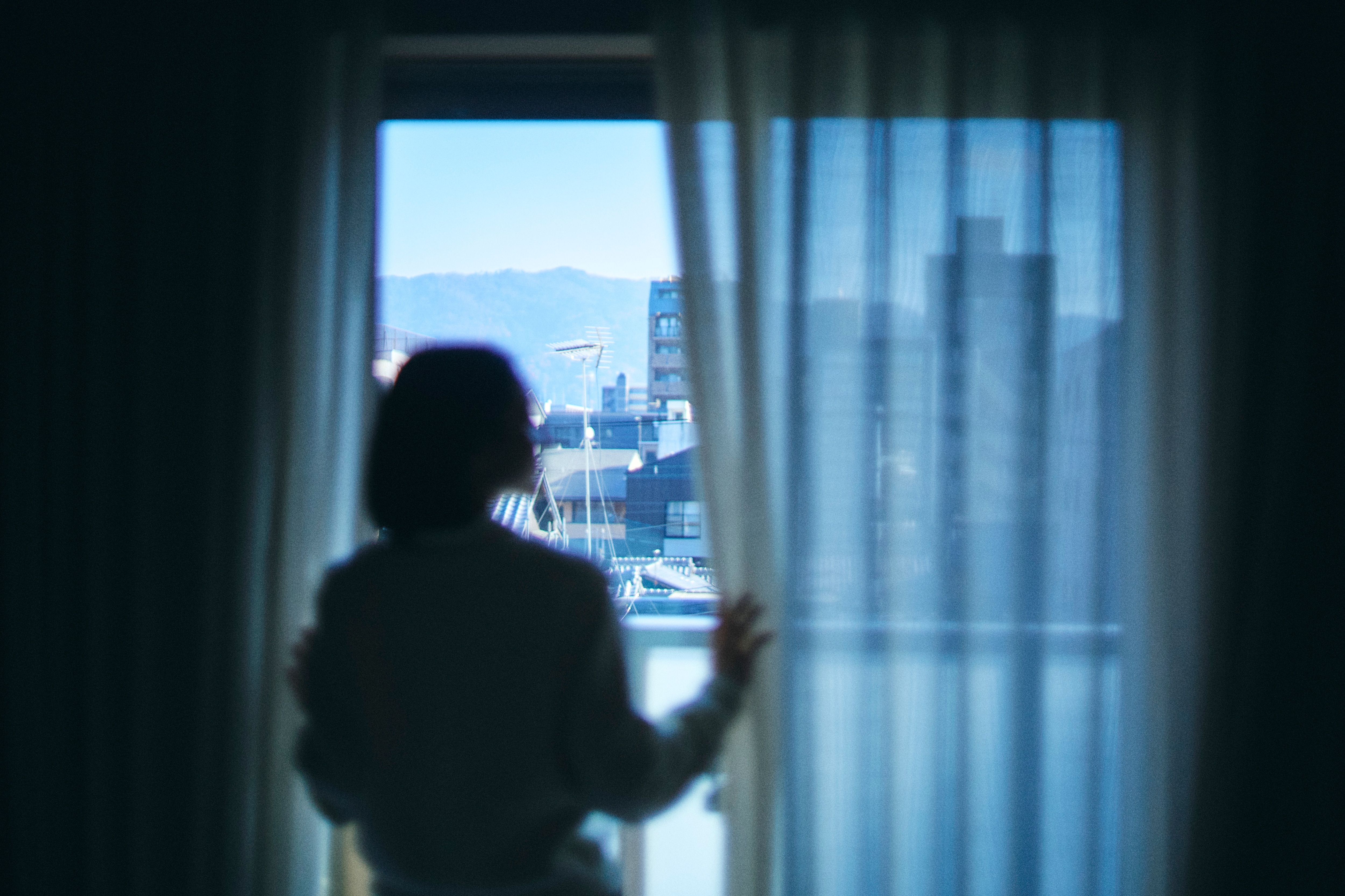 预算双胞胎