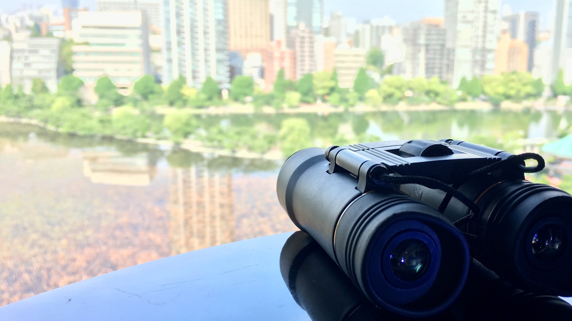 Deluxe Twin Room Exclusive Equipment: Binoculars