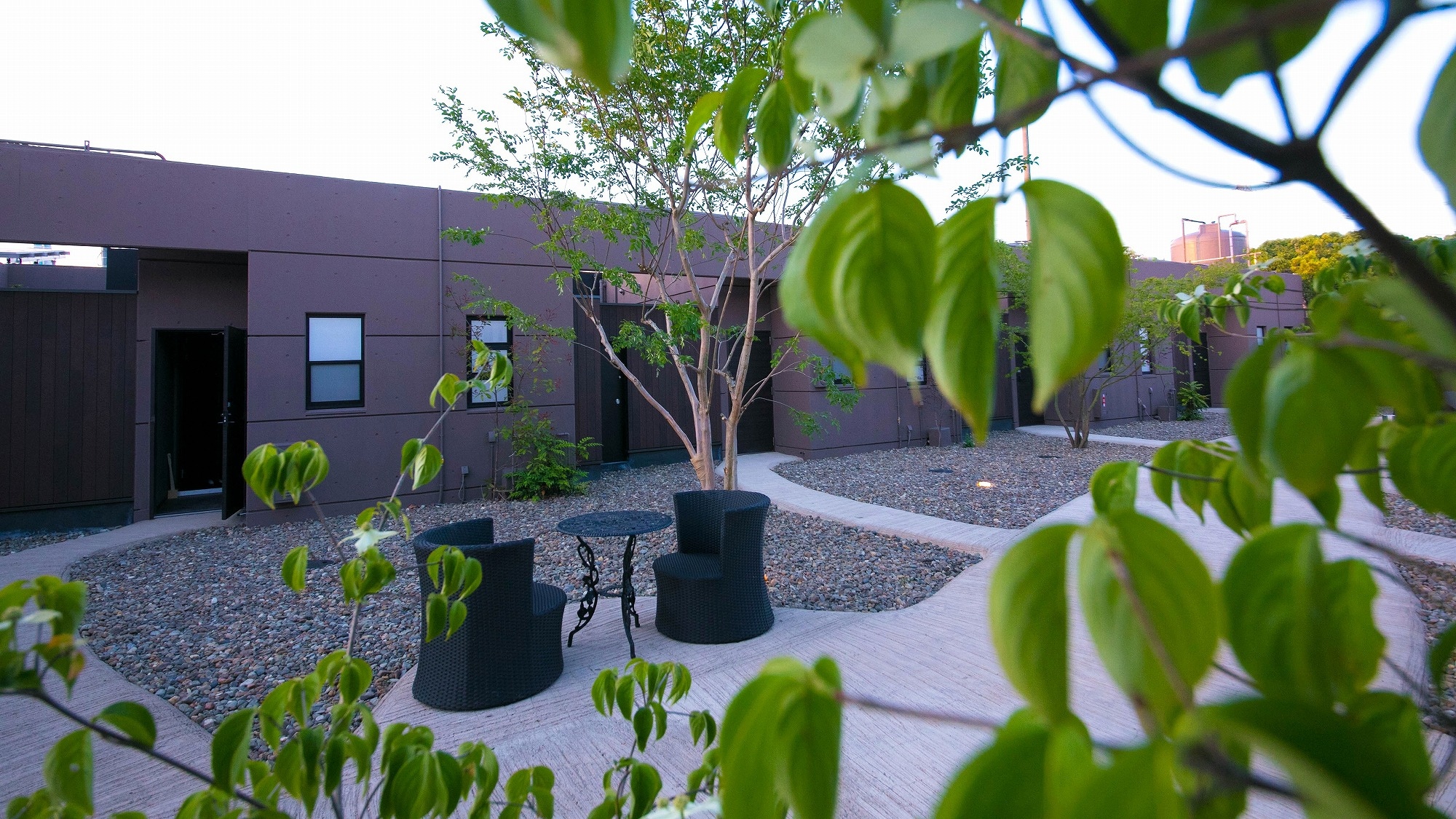 greenery in the garden