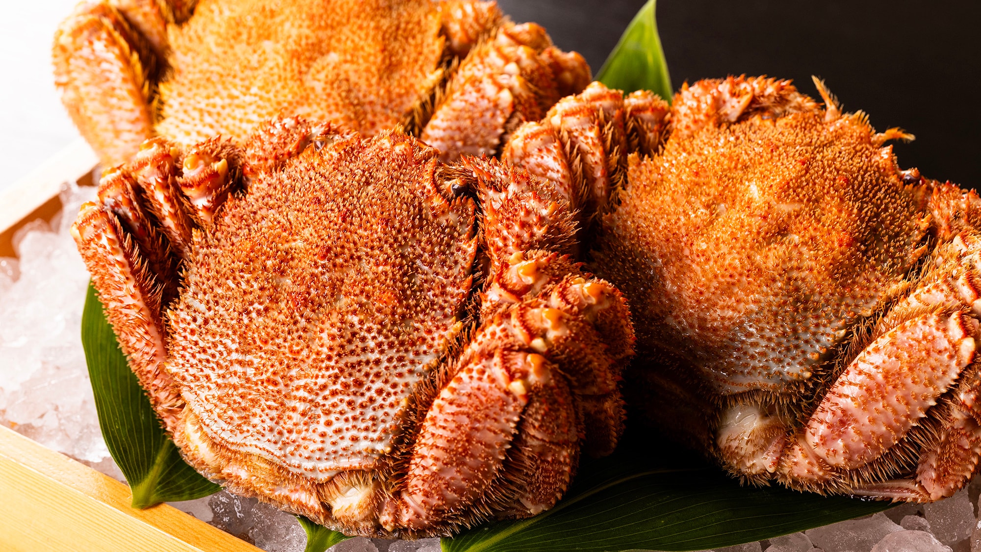 농후한 단맛과 프리프리의 식감이 매력! 오호츠크해의 털게, 일품의 맛을 즐겨 주세요