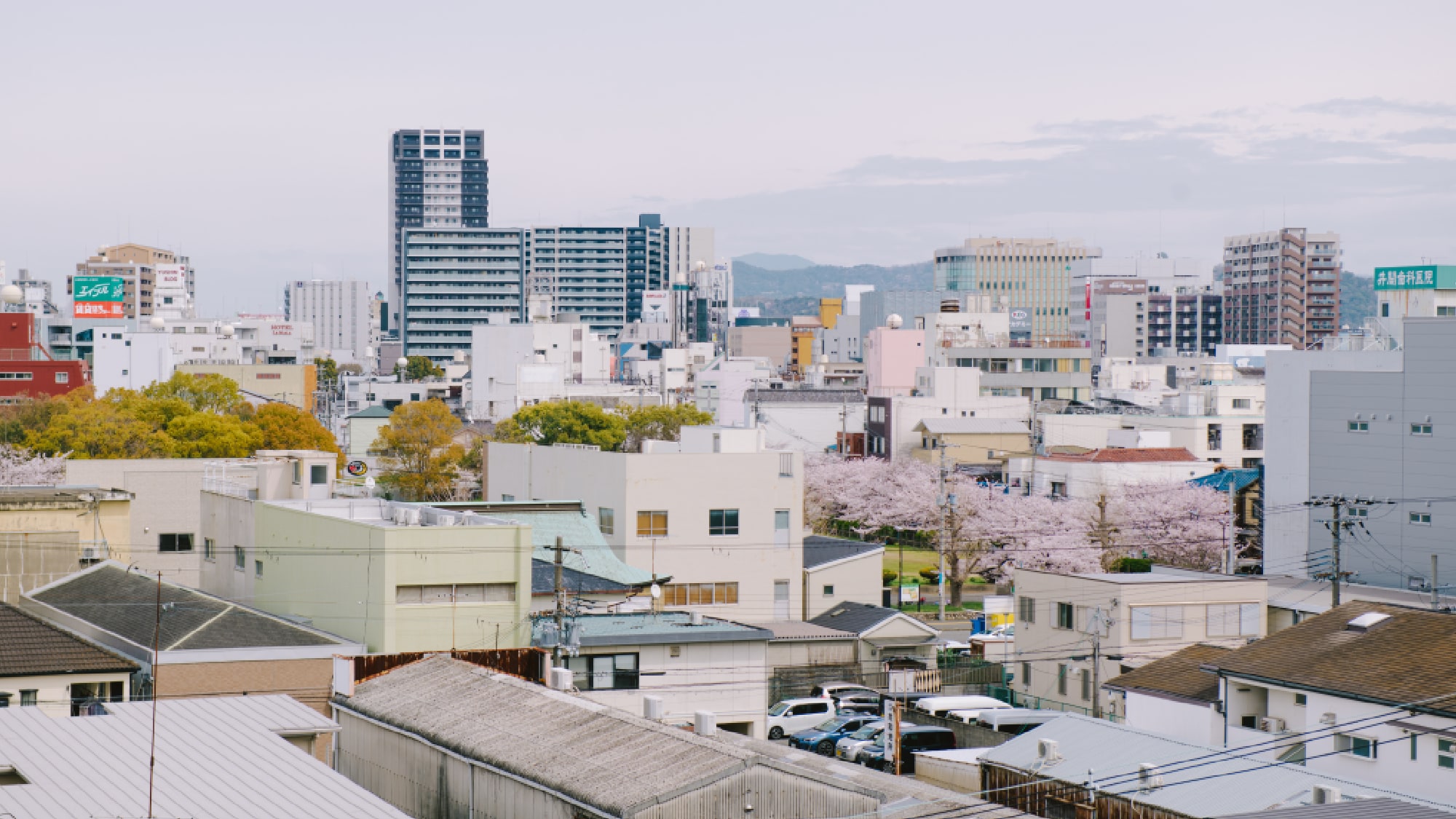 ・Landscape