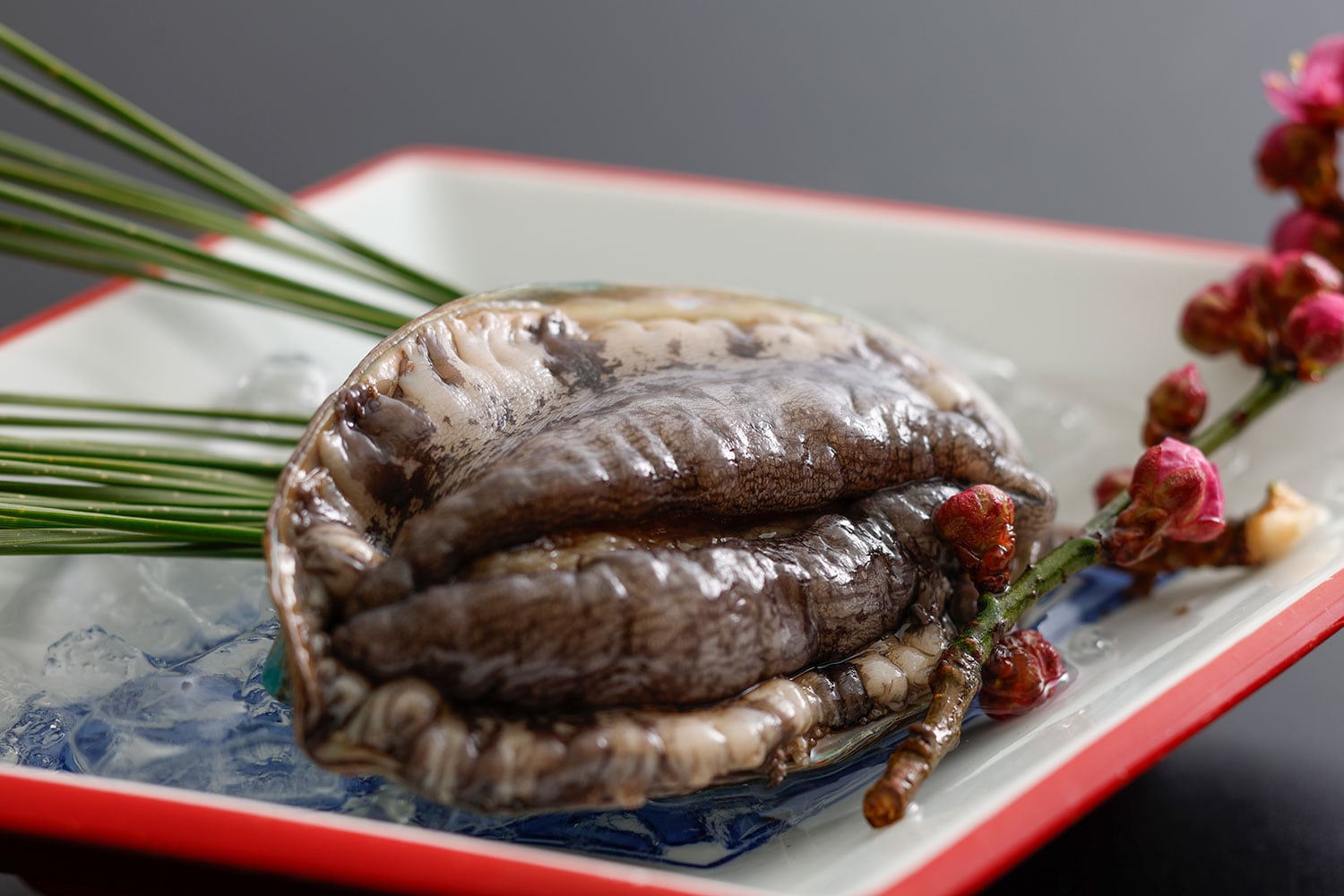 Abalone dancing grill (image)