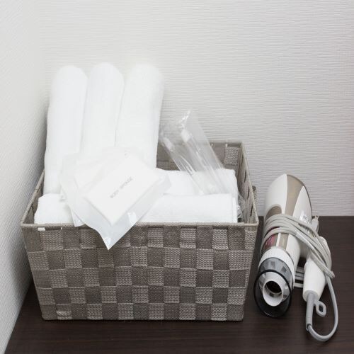Hair dryer and amenity set