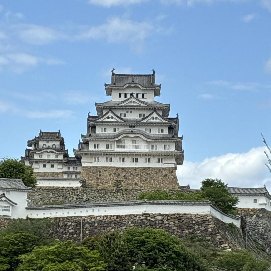 3E983184-027A-4B80-B35D-DF6FF4C3C14A.jpeg