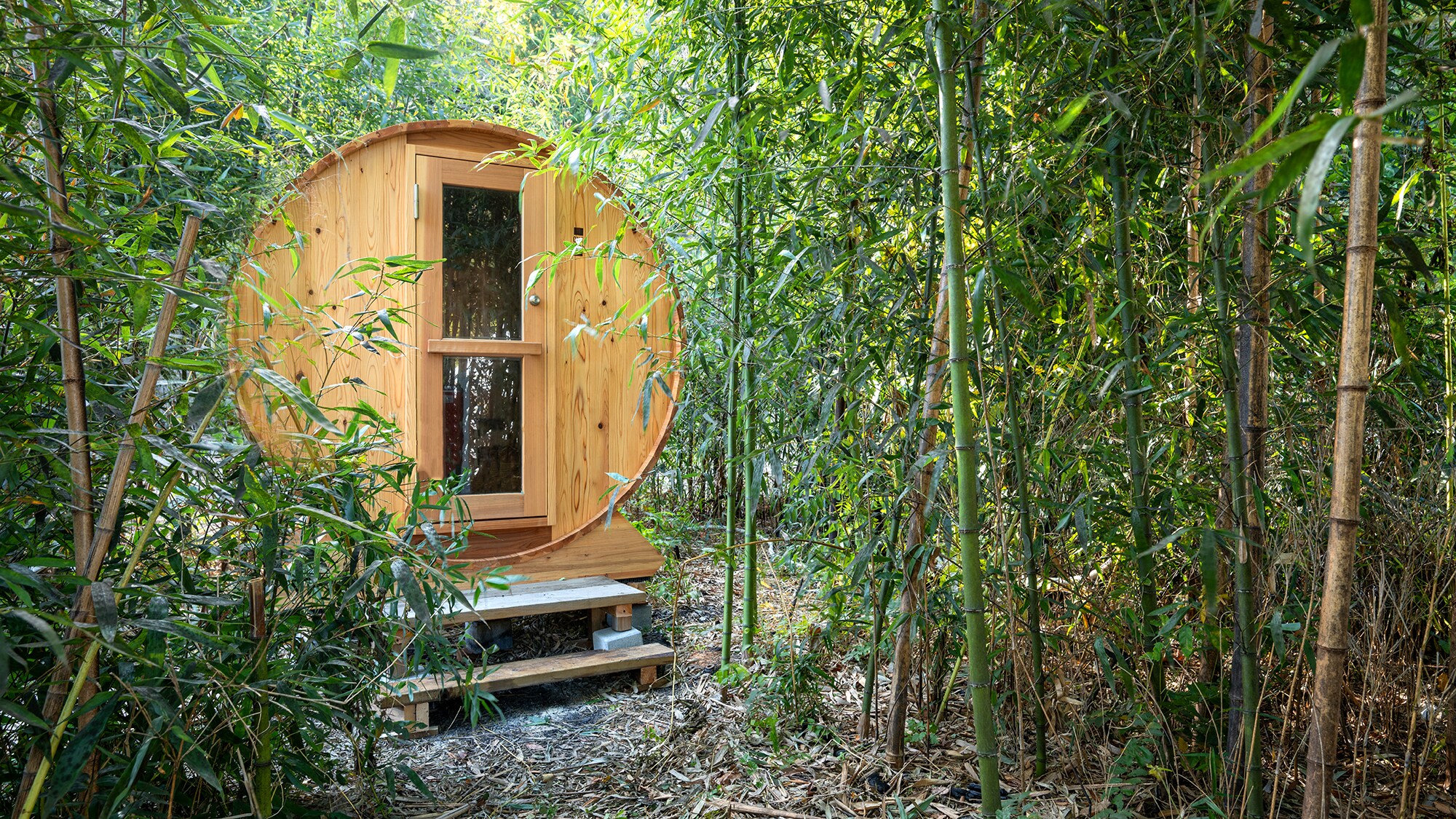 Bamboo forest sauna