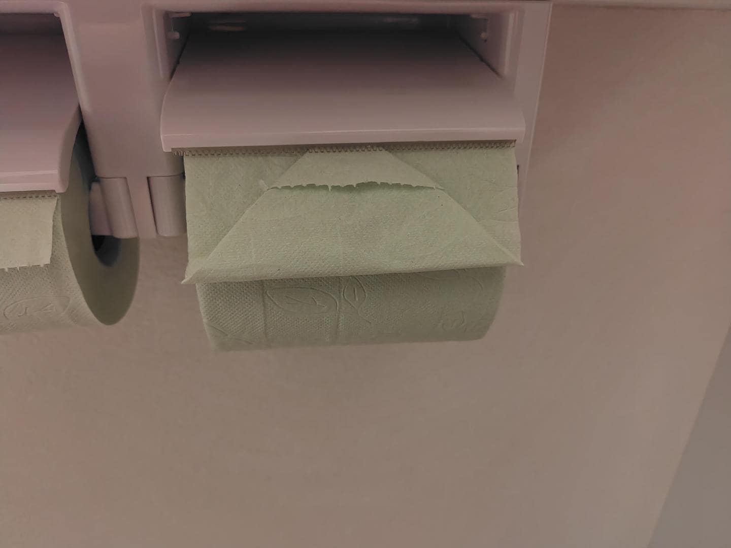 1000068113.jpg
