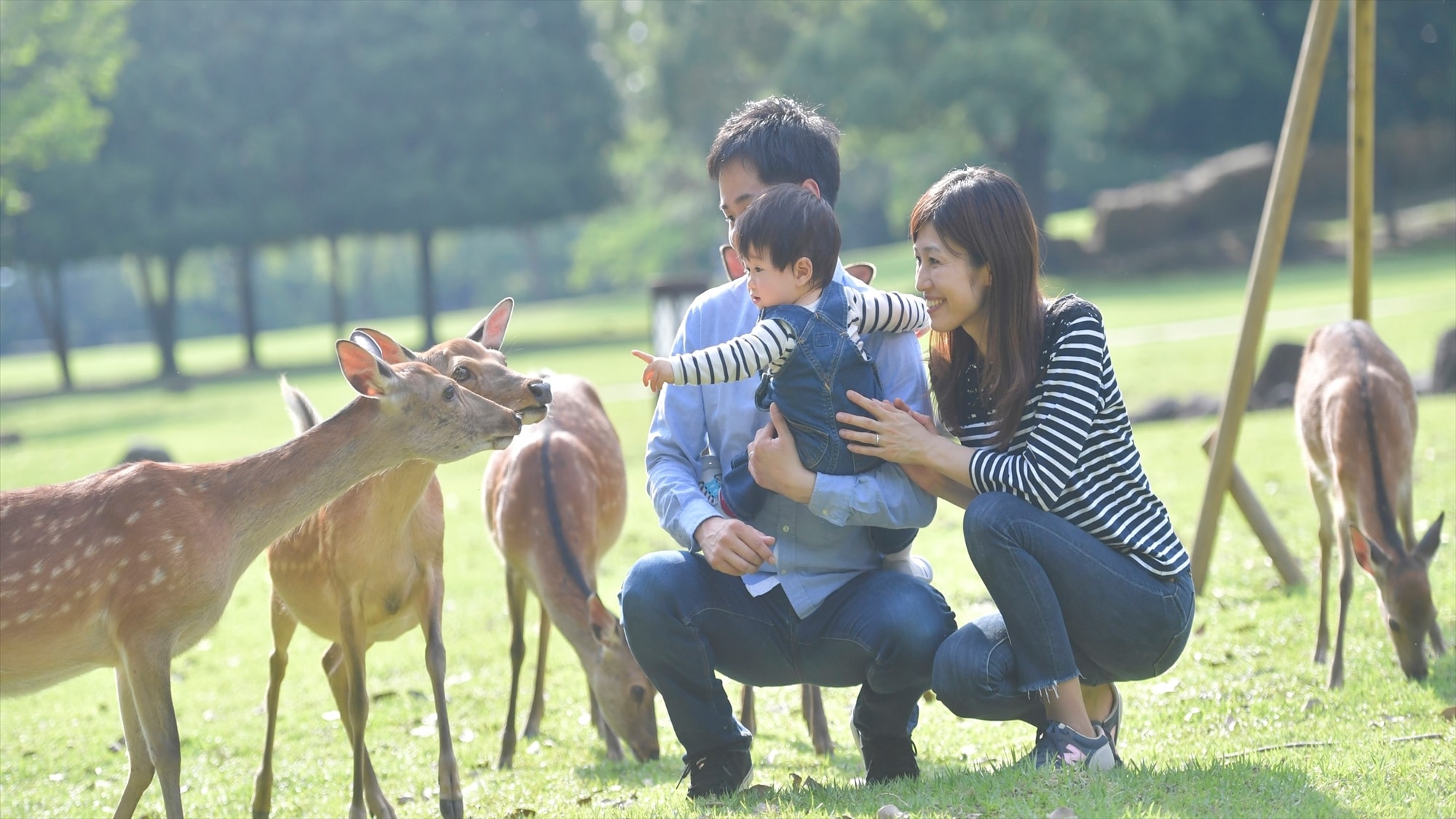 Nara Park debut ♡
