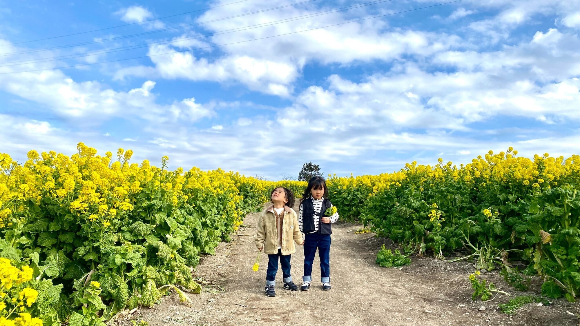 Plans including admission tickets to Hana Hiroba are now on sale!