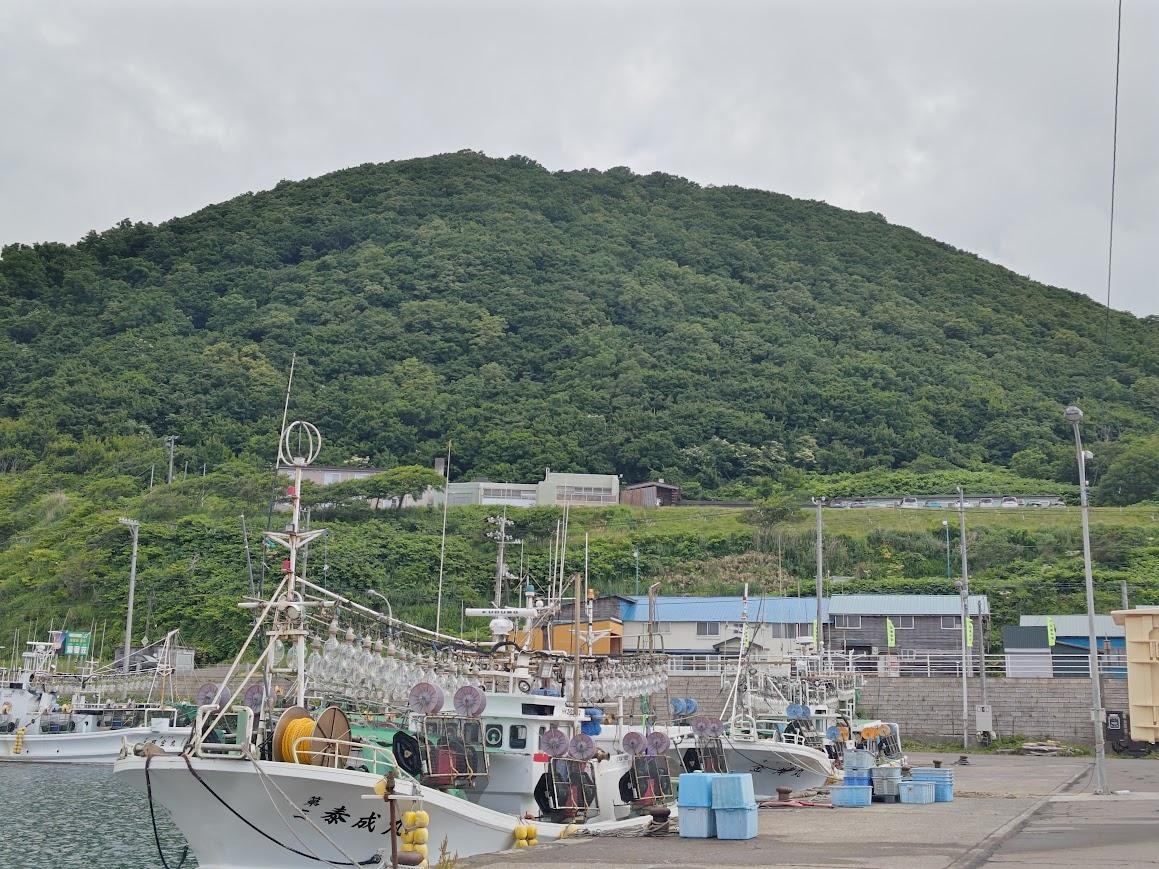 盃漁港から見た潮香荘(画面中央).JPG