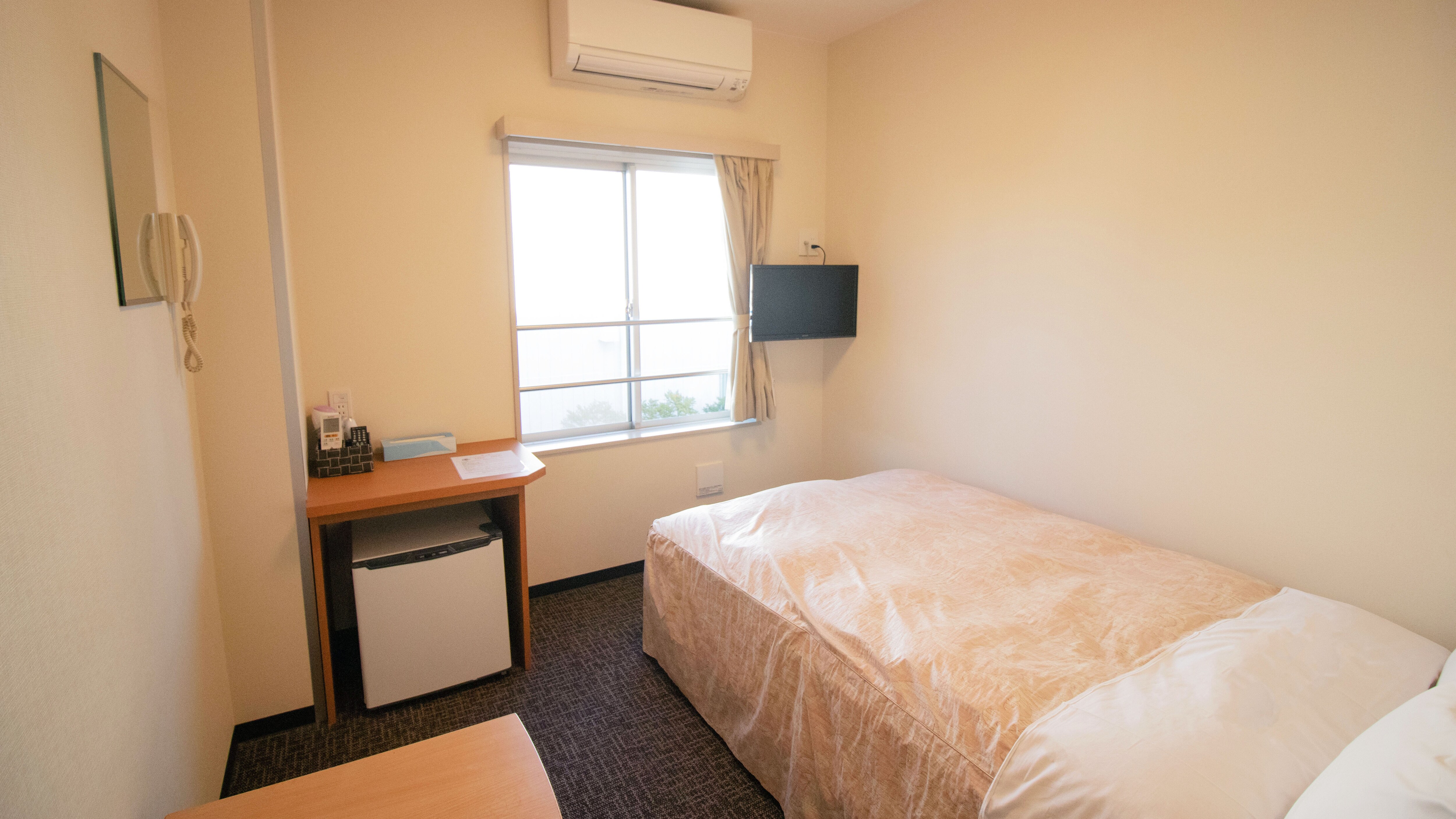 Single room (non-smoking)