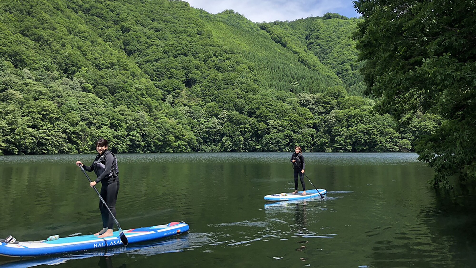 【activity】