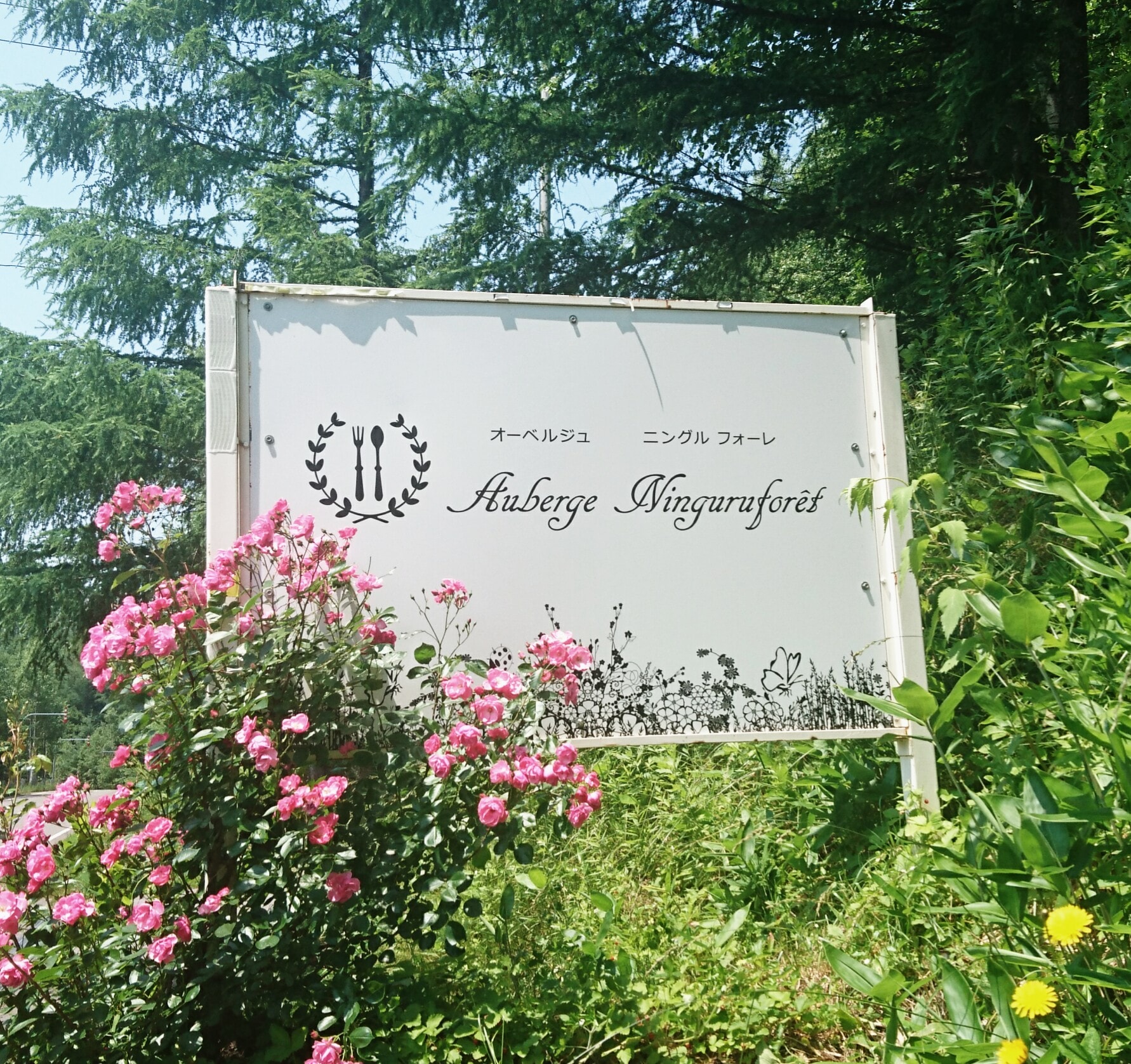 Ninguruforet