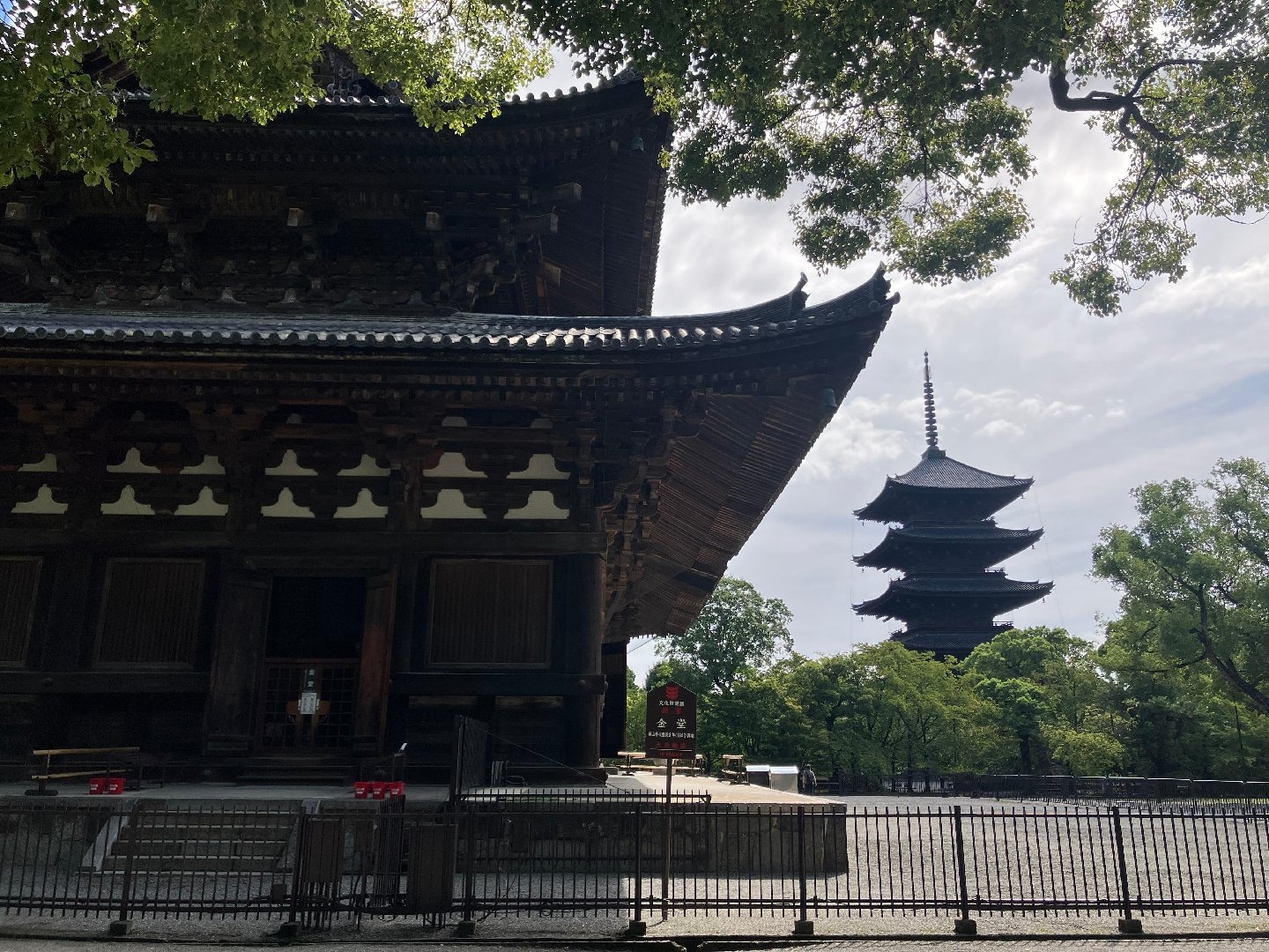 IMG_2427.jpeg