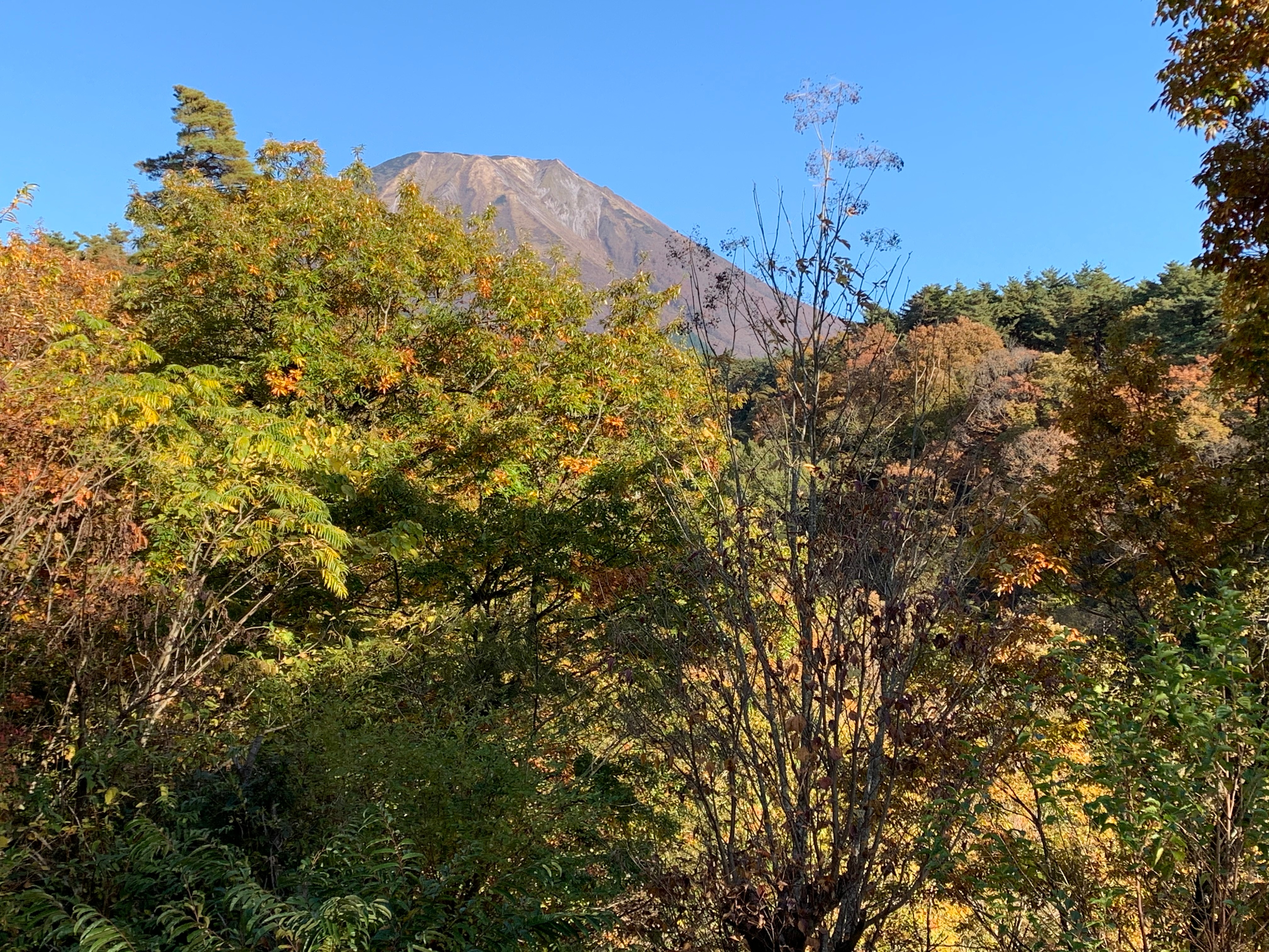 Mt. Oyama seen from the family room