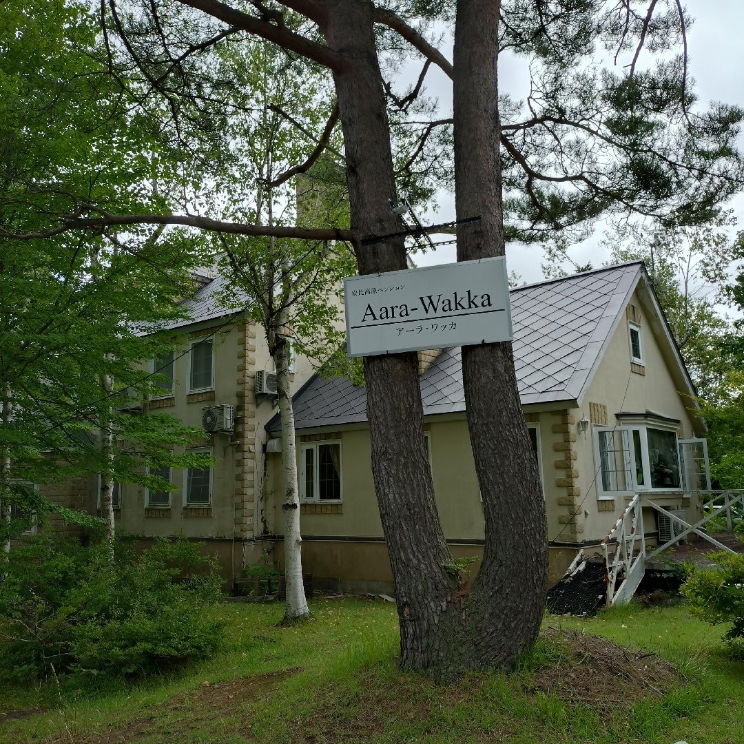 1000041745.jpg