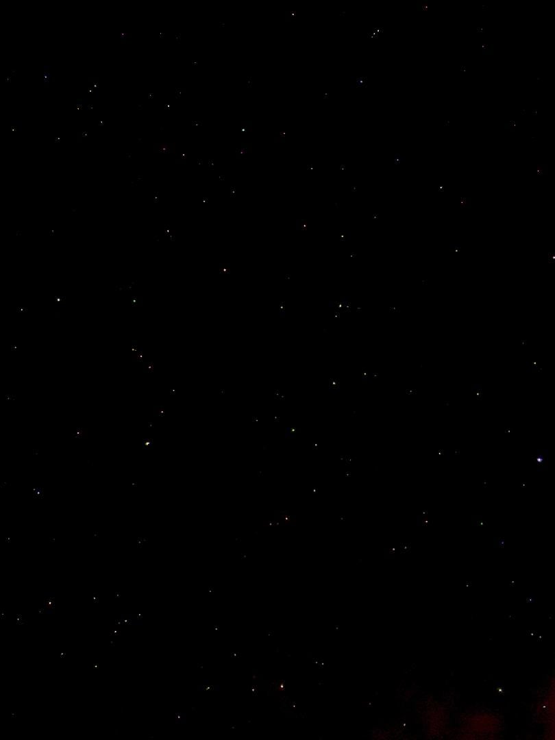 IMG_1408.jpeg