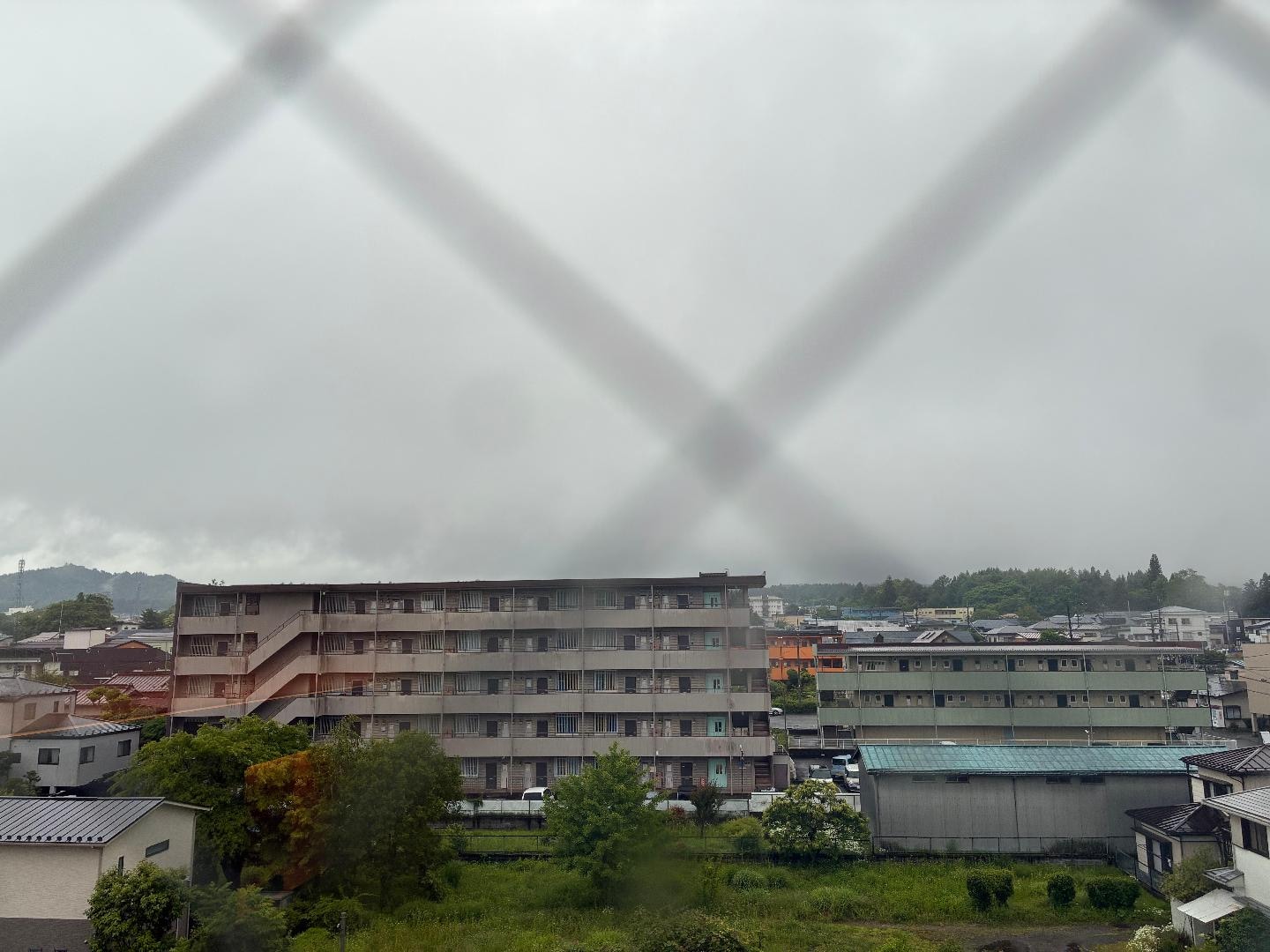 C7E82E97-3D0D-4666-909B-4D2AA2C44992.jpeg