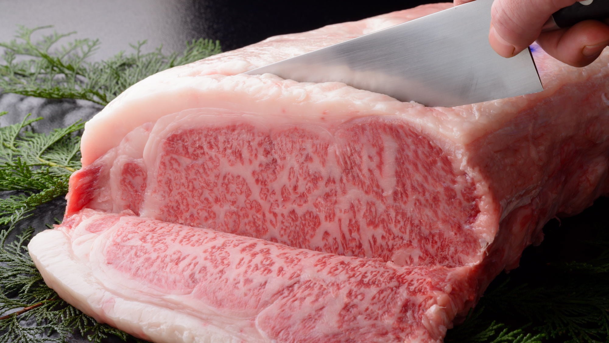 <Dengan sertifikat> Daging sapi Kobe murni