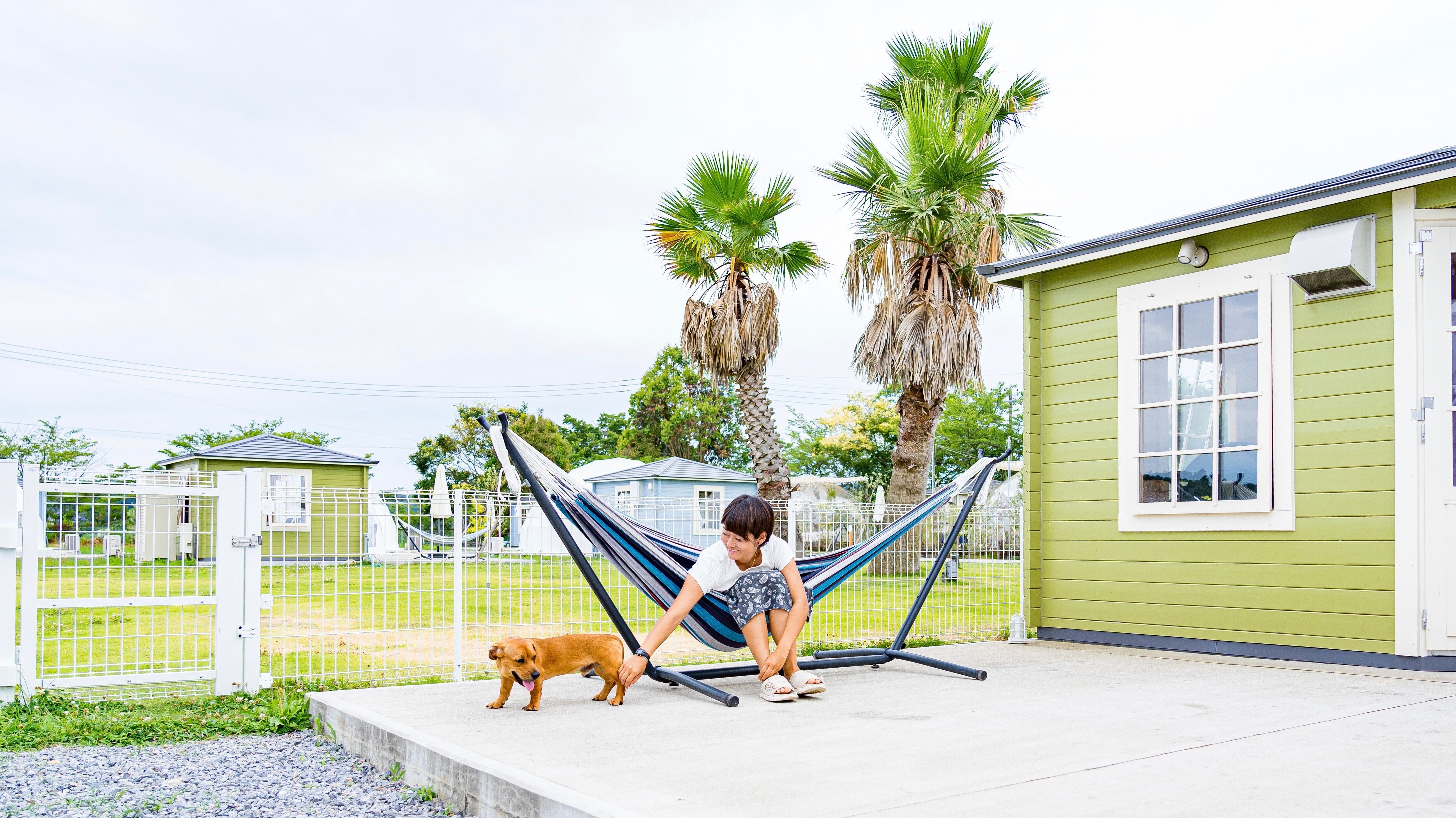 Pet Dome Tent