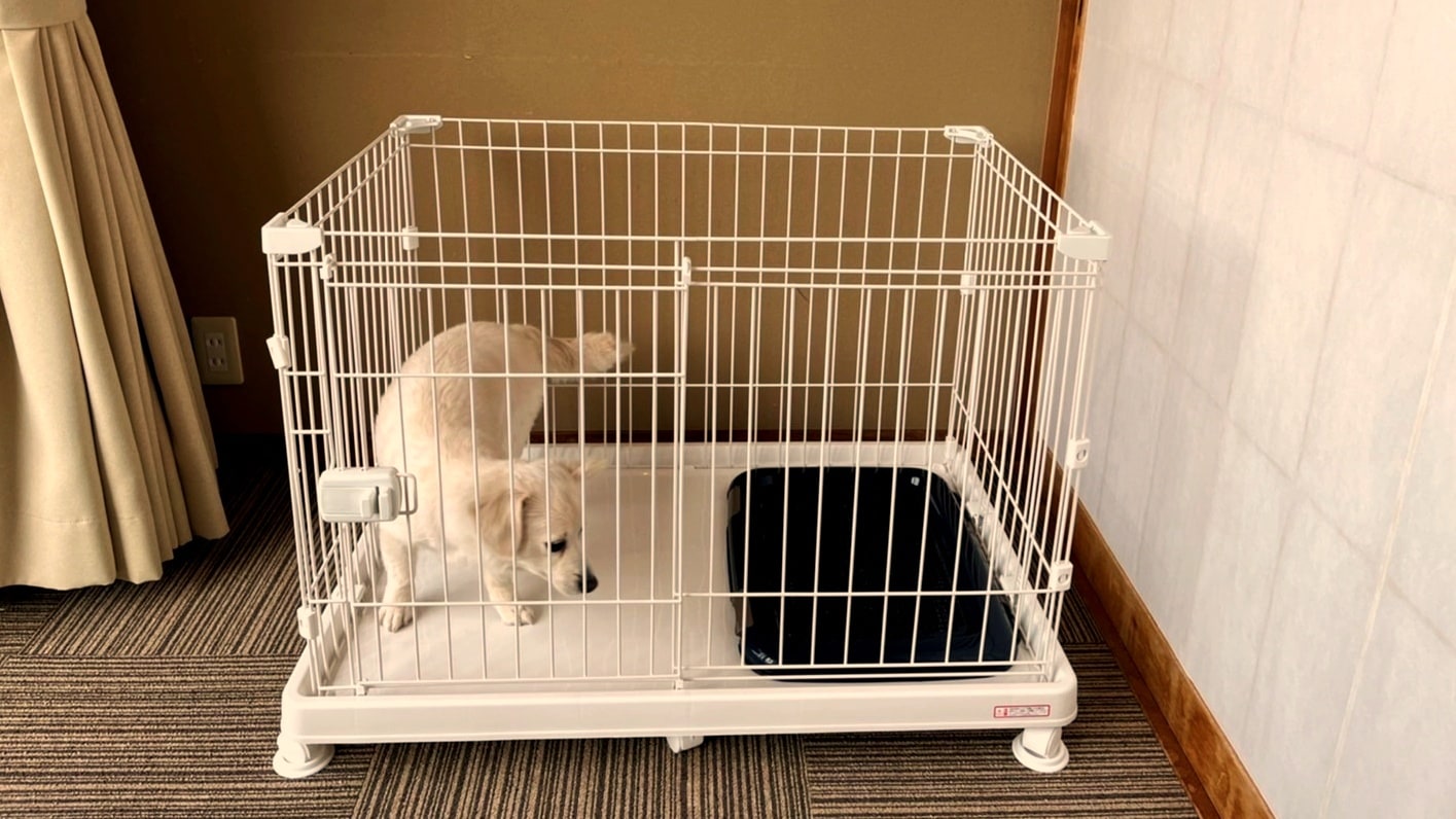 A room where you can stay with your dog ★ Cage included