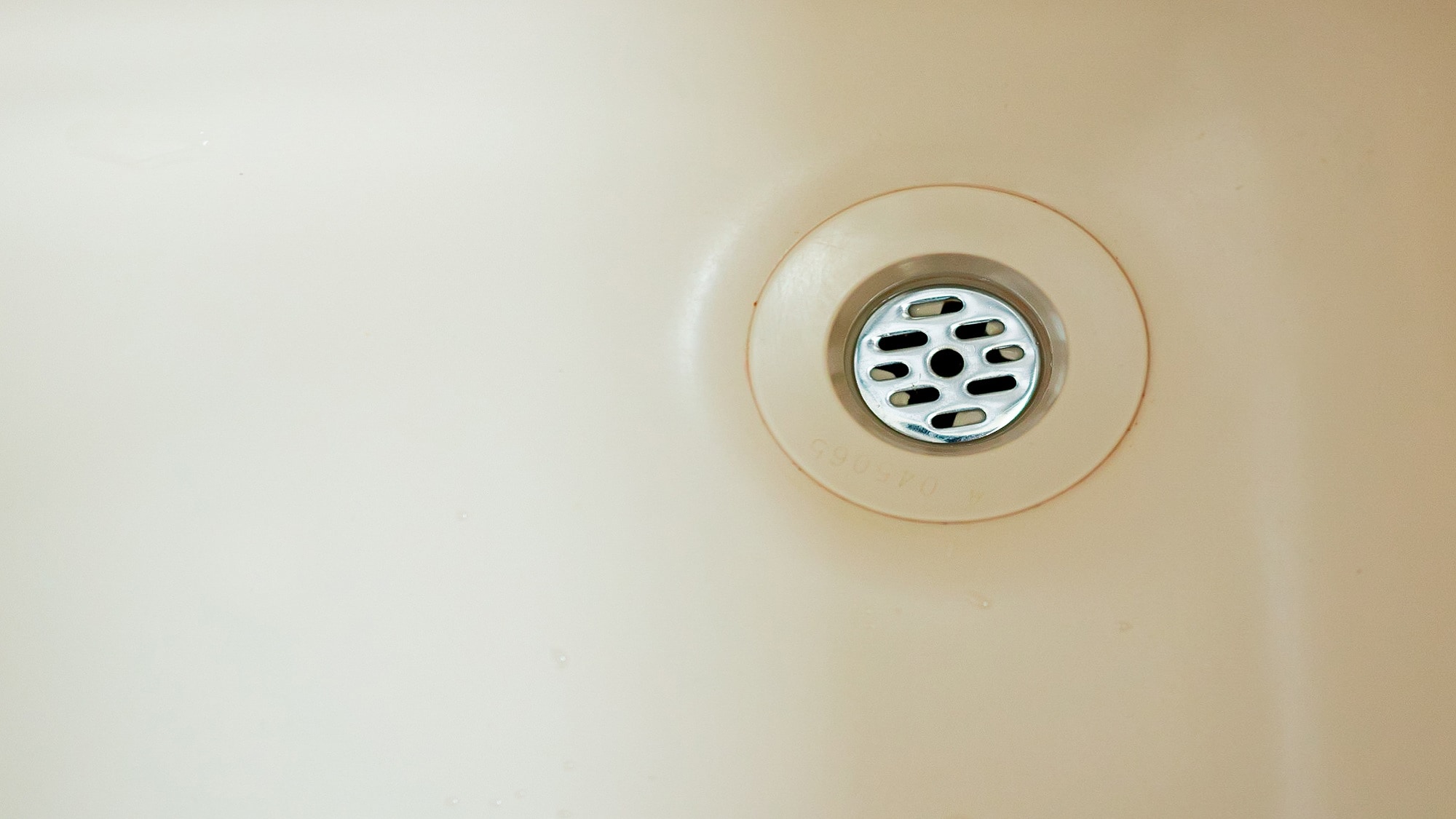 Round Plate