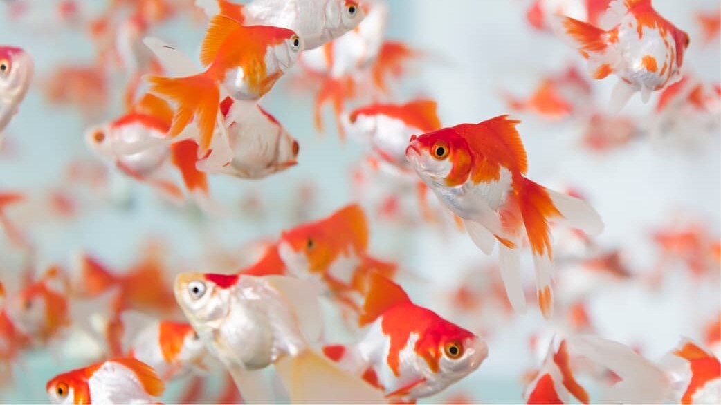 水族館（水下天堂）