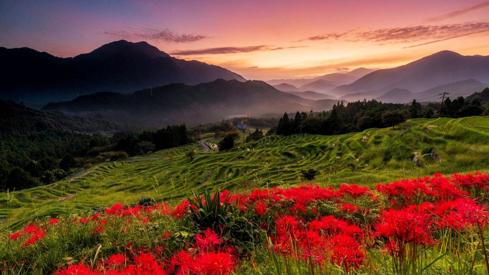 [Kumano Club] Maruyama Senmaida