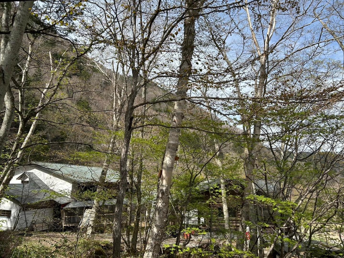A5233A25-19E0-457A-A5EF-A1D932B87166.jpeg