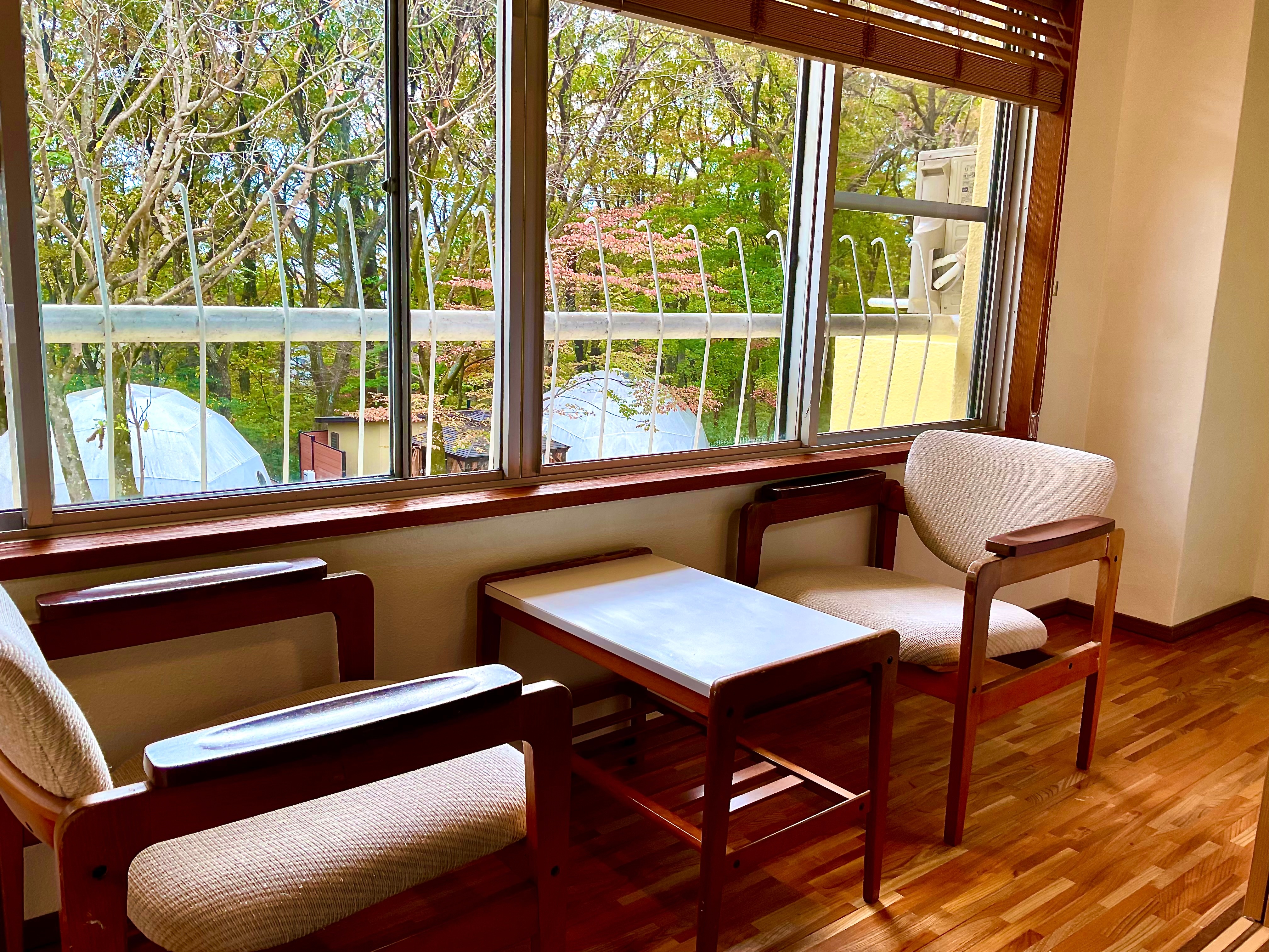 Premium Japanese-style Room