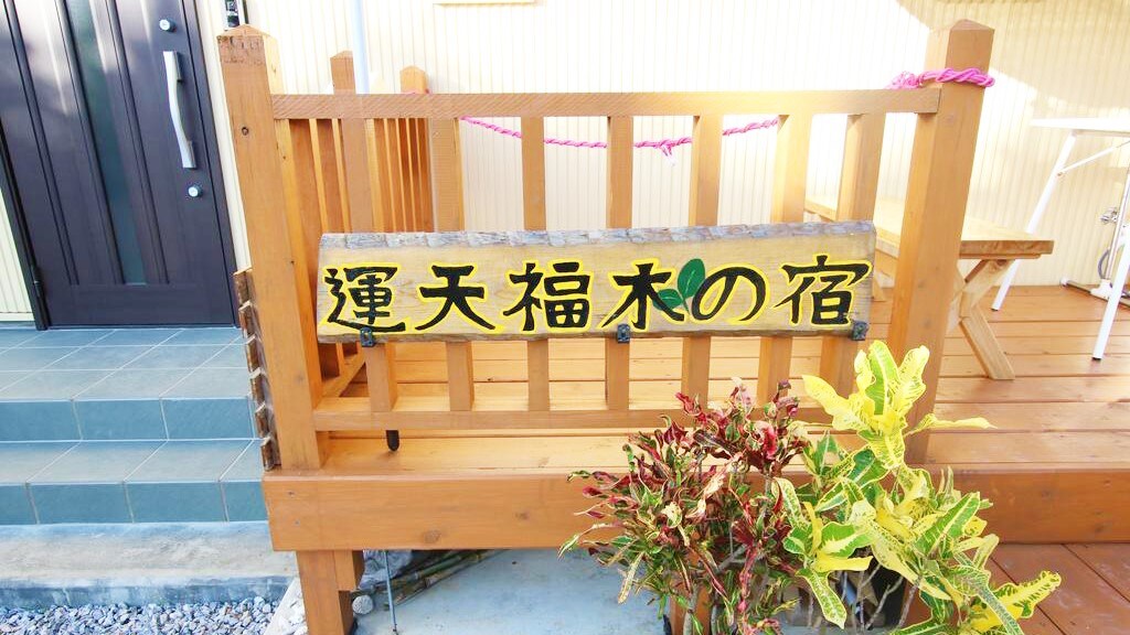 外观图
