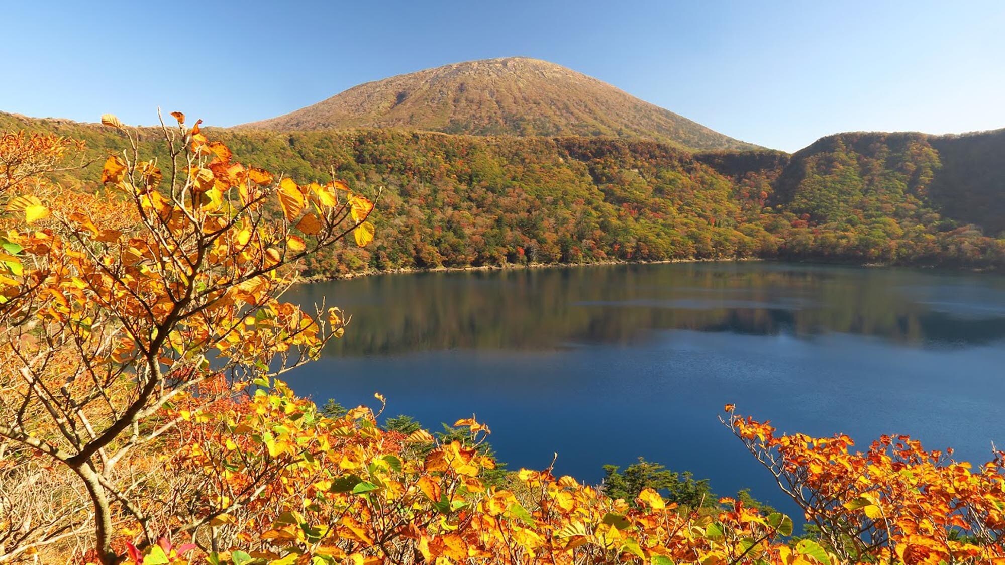 Autumn leaves (Oonami Pond)