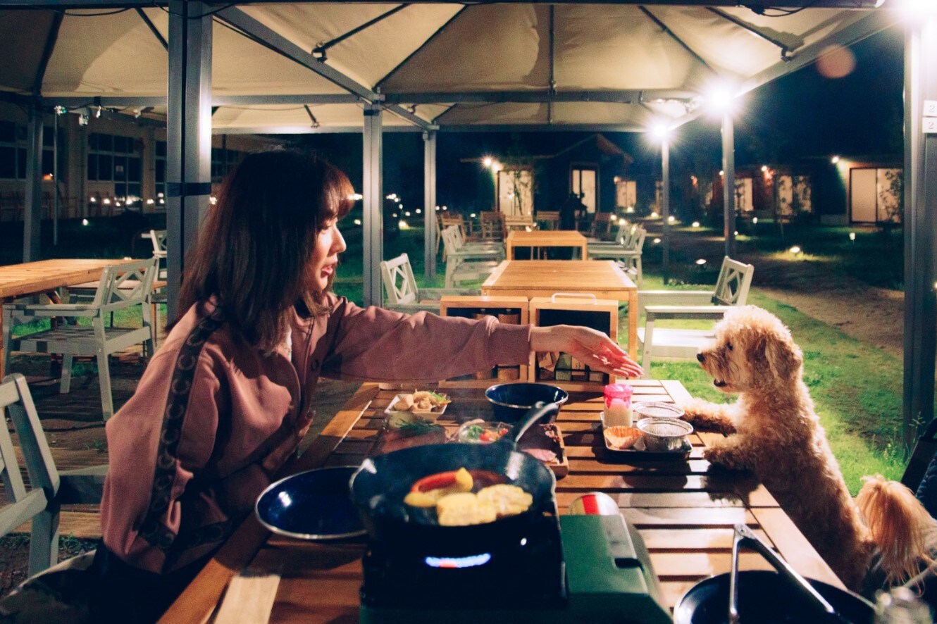 Dinner BBQ