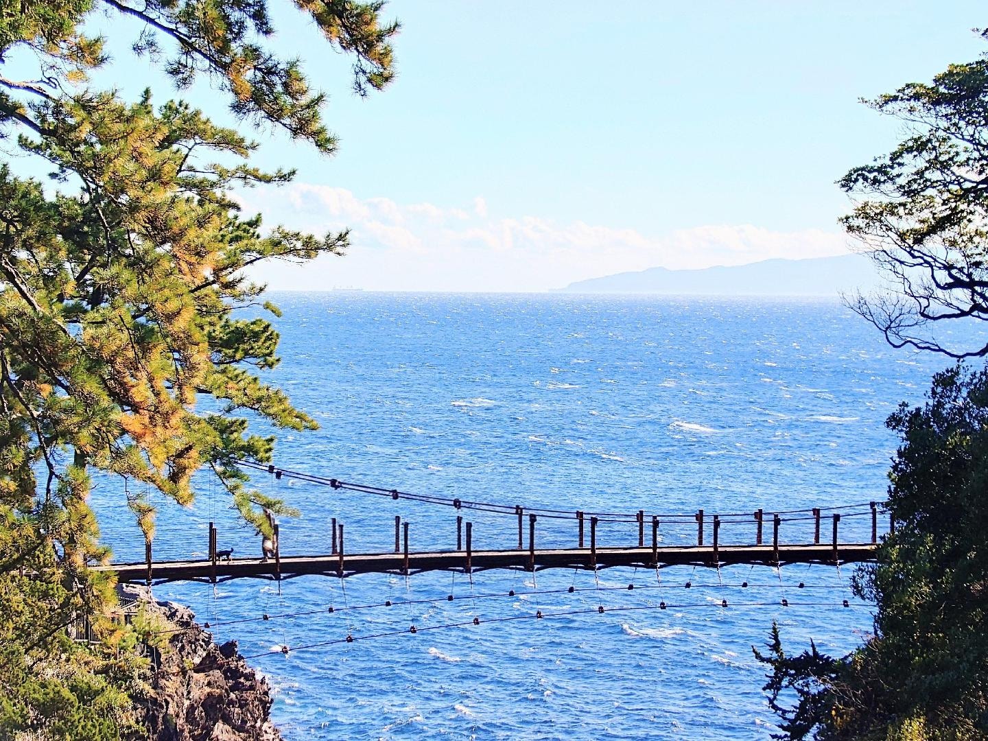 20260110 城ヶ崎海岸門脇吊橋から伊豆大島を望む.JPG