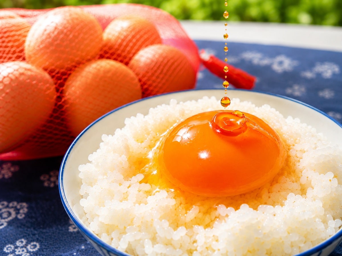 조식