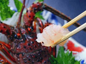 Spiny lobster sashimi