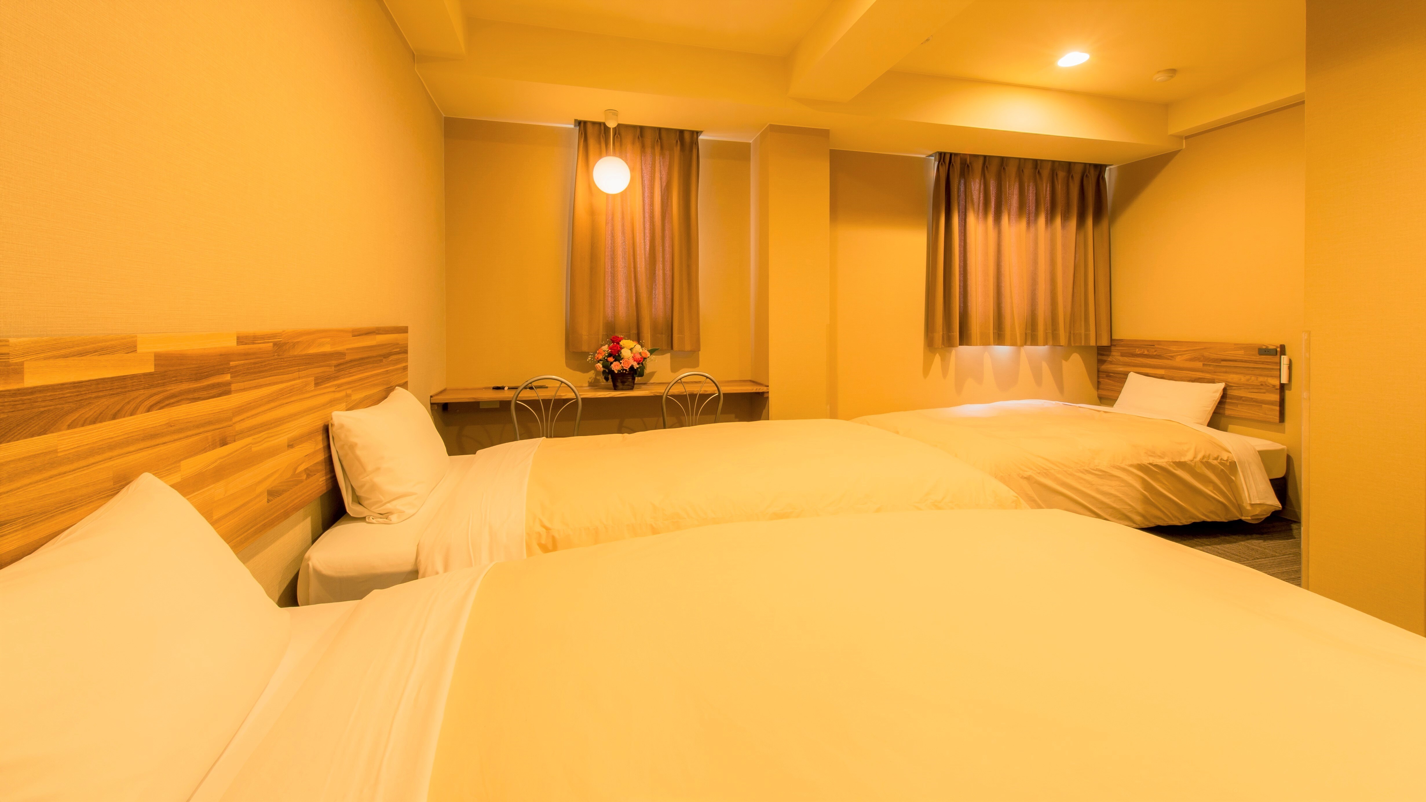 Triple set available for up to 3 adults [Twin Room]
