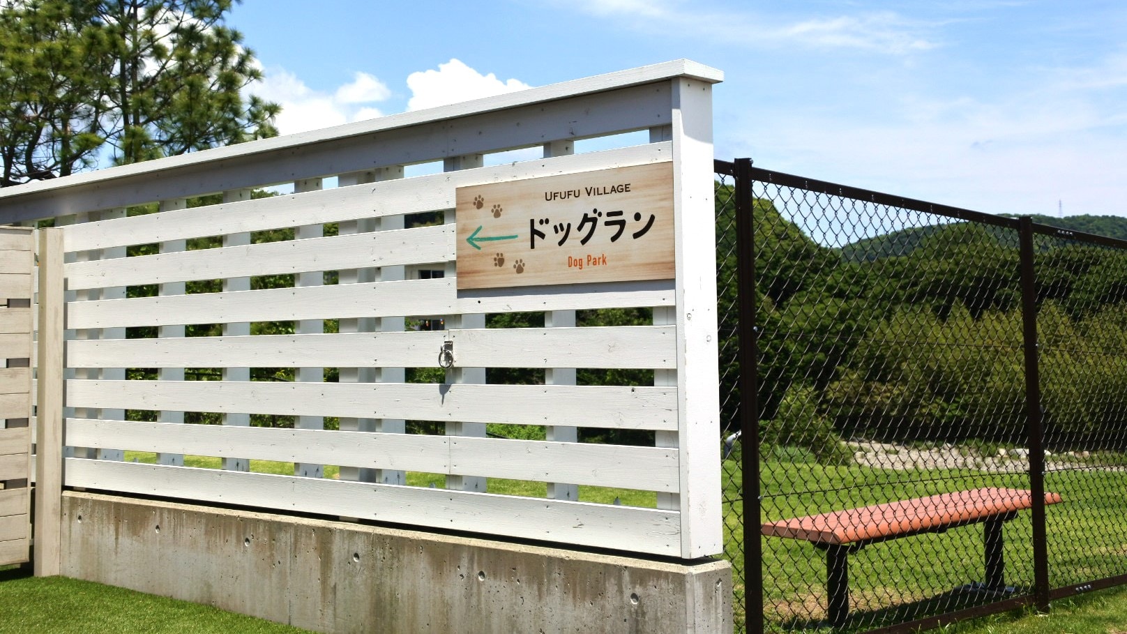 dog run