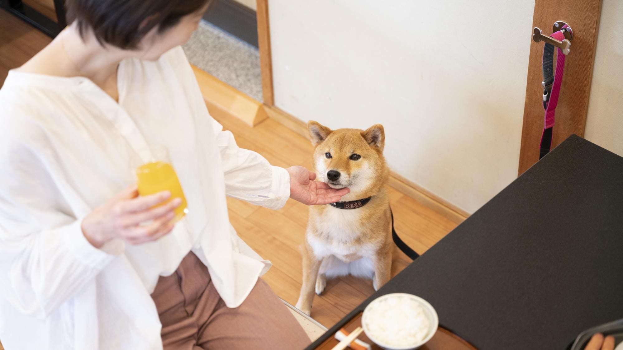 You can eat with your dog.