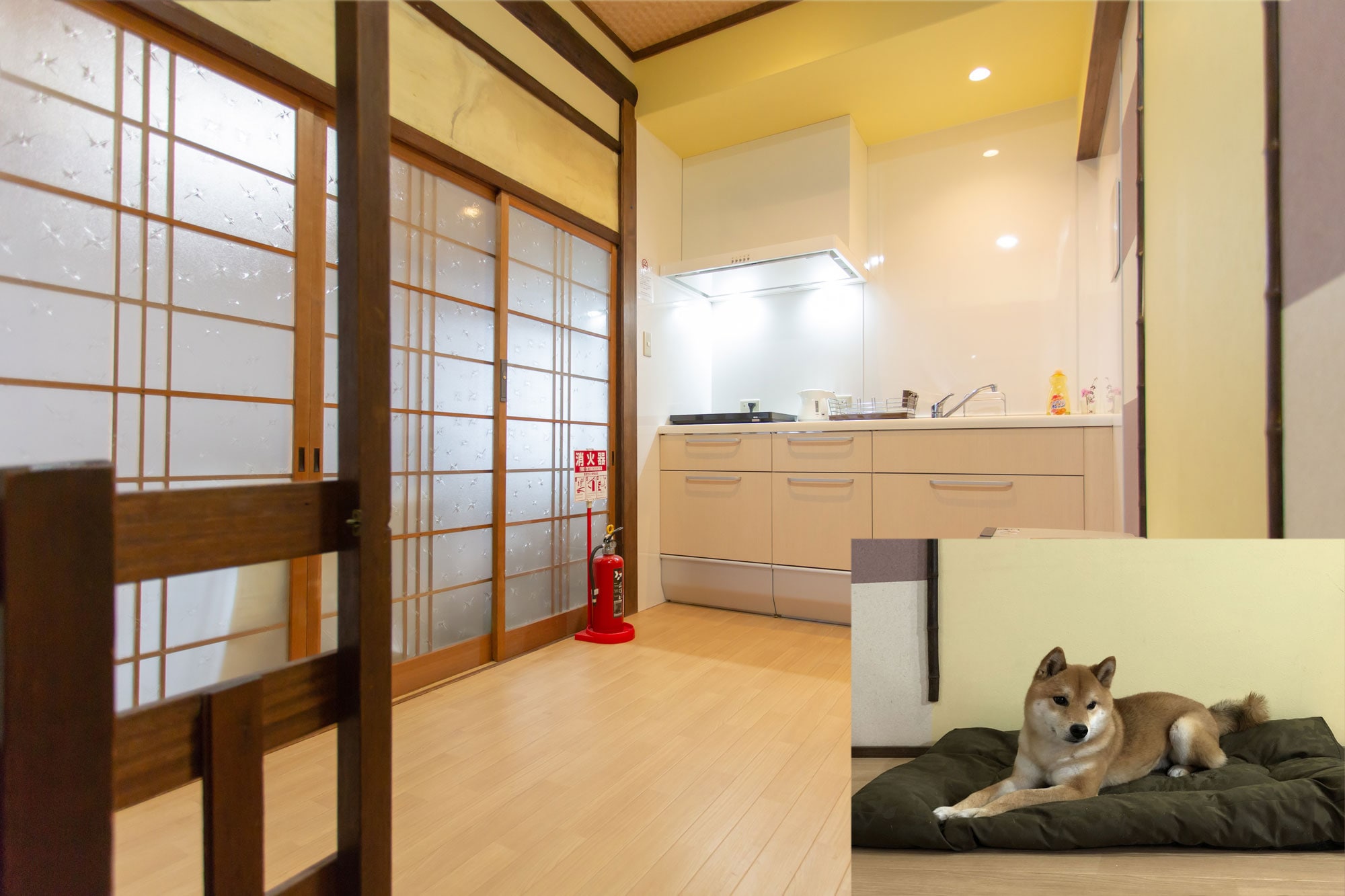 พื้นที่ให้สัตว์เลี้ยงได้พักผ่อน : ห้องครัวชั้นสอง