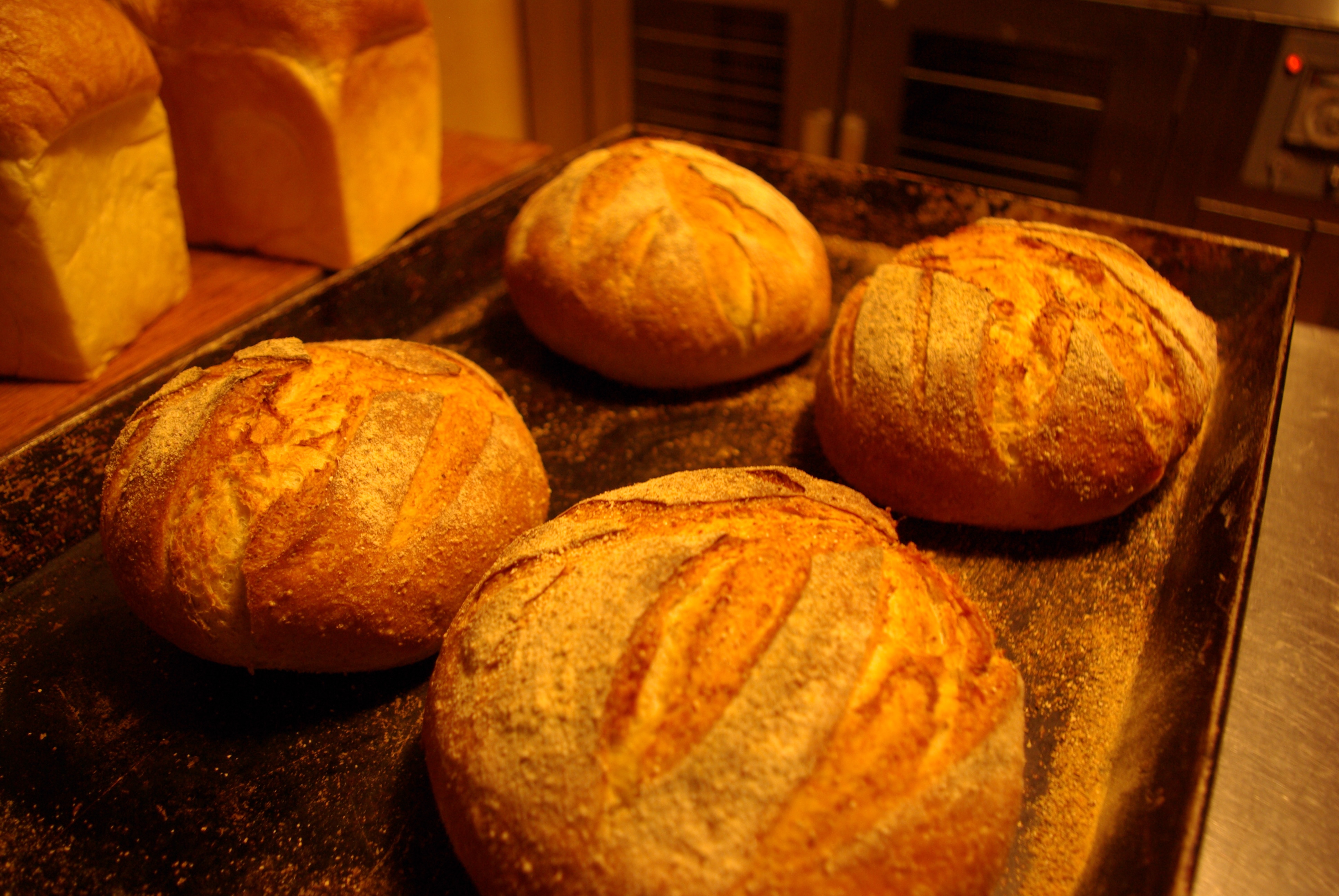 Freshly baked bread made with natural yeast