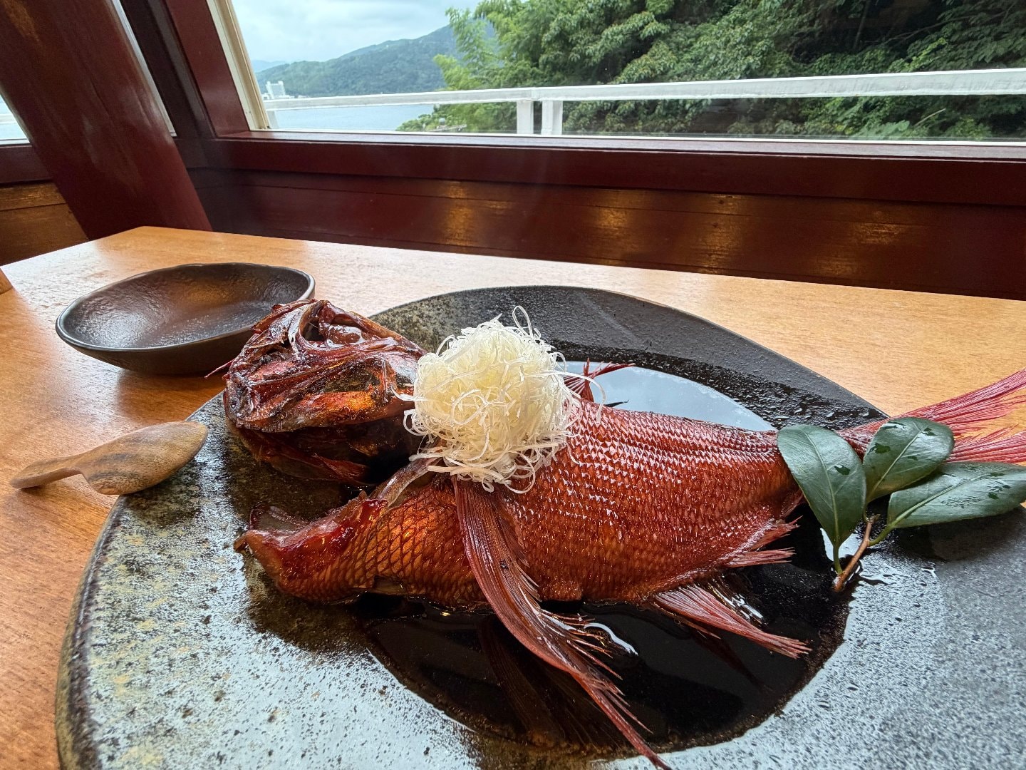 IMG_1129.jpeg