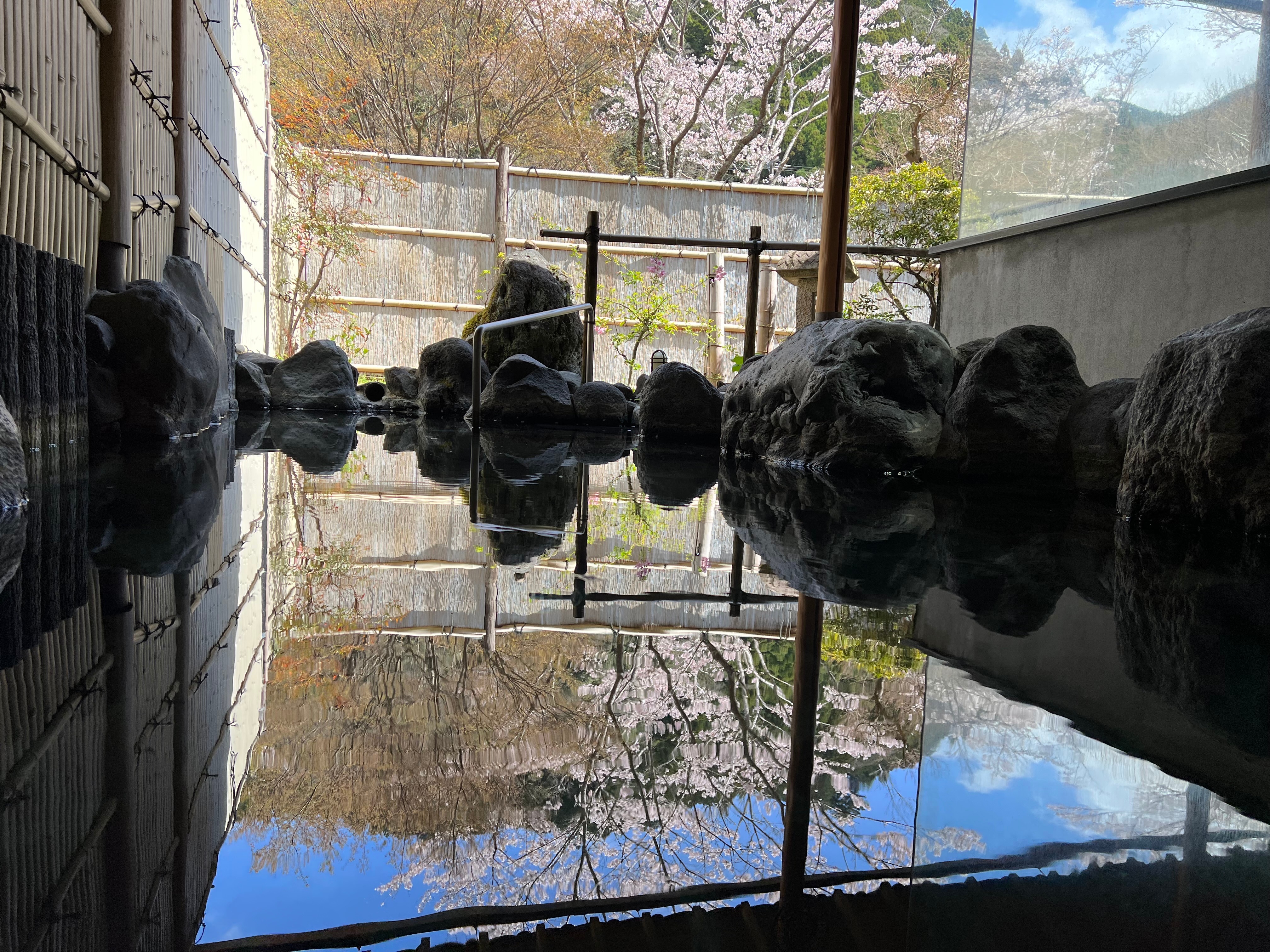 露天浴池的樱花