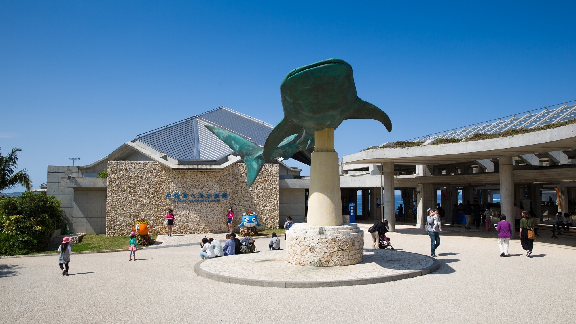 32 minutes to Churaumi Aquarium