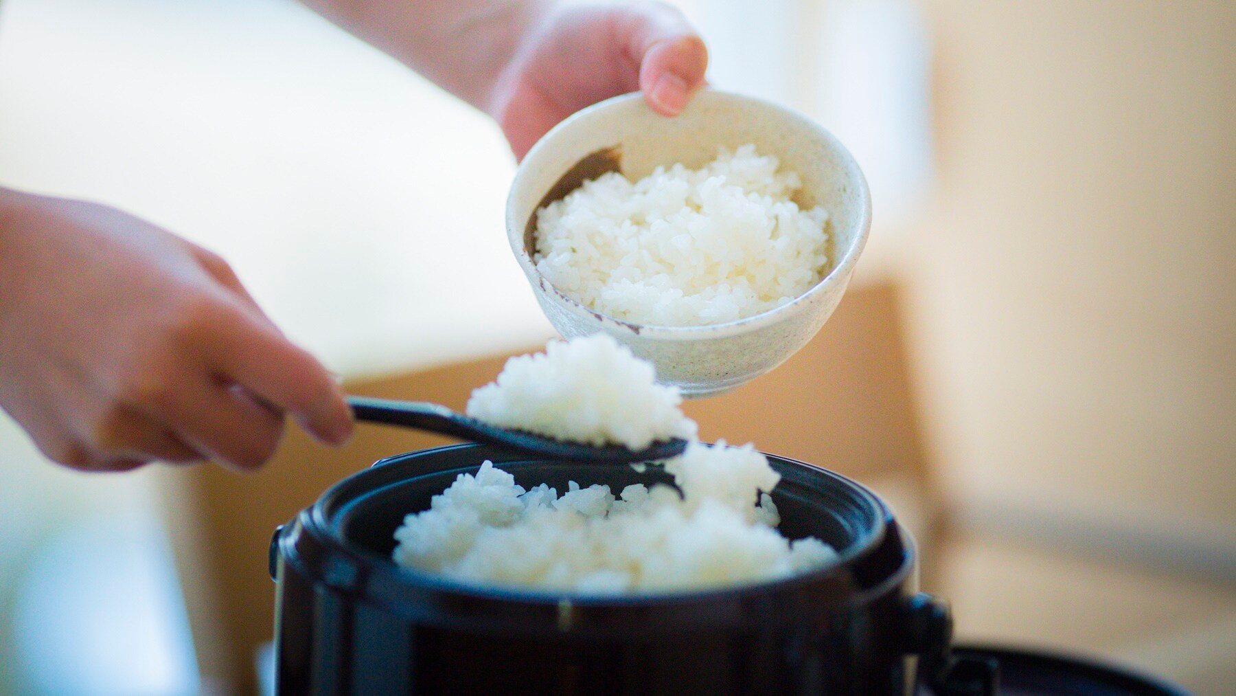 <Breakfast> Koshihikari rice from Kasumi