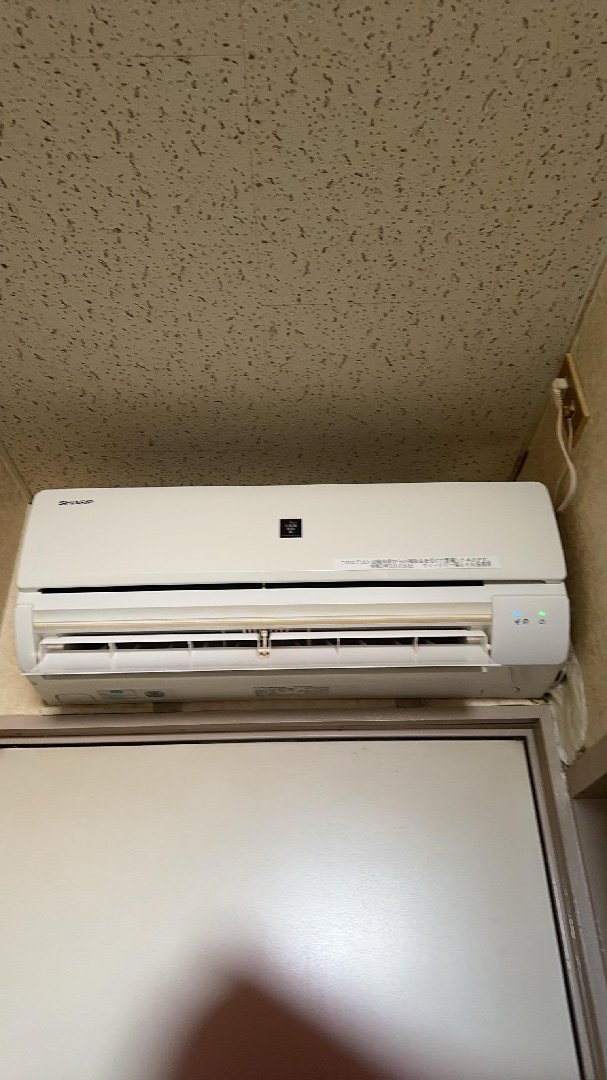 IMG_4246.jpeg