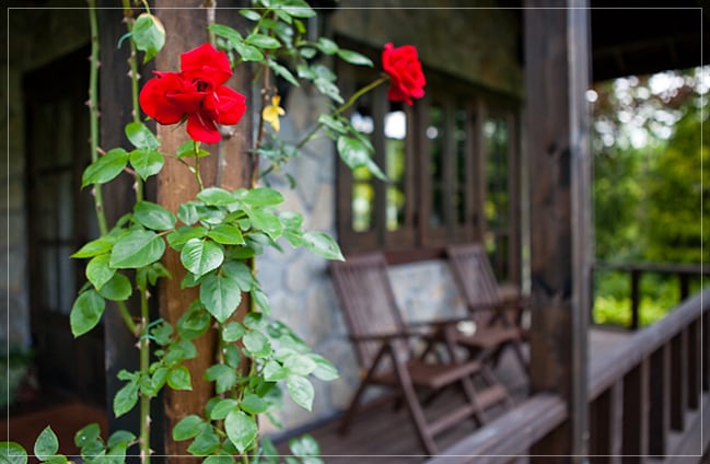 Room 101 Deck