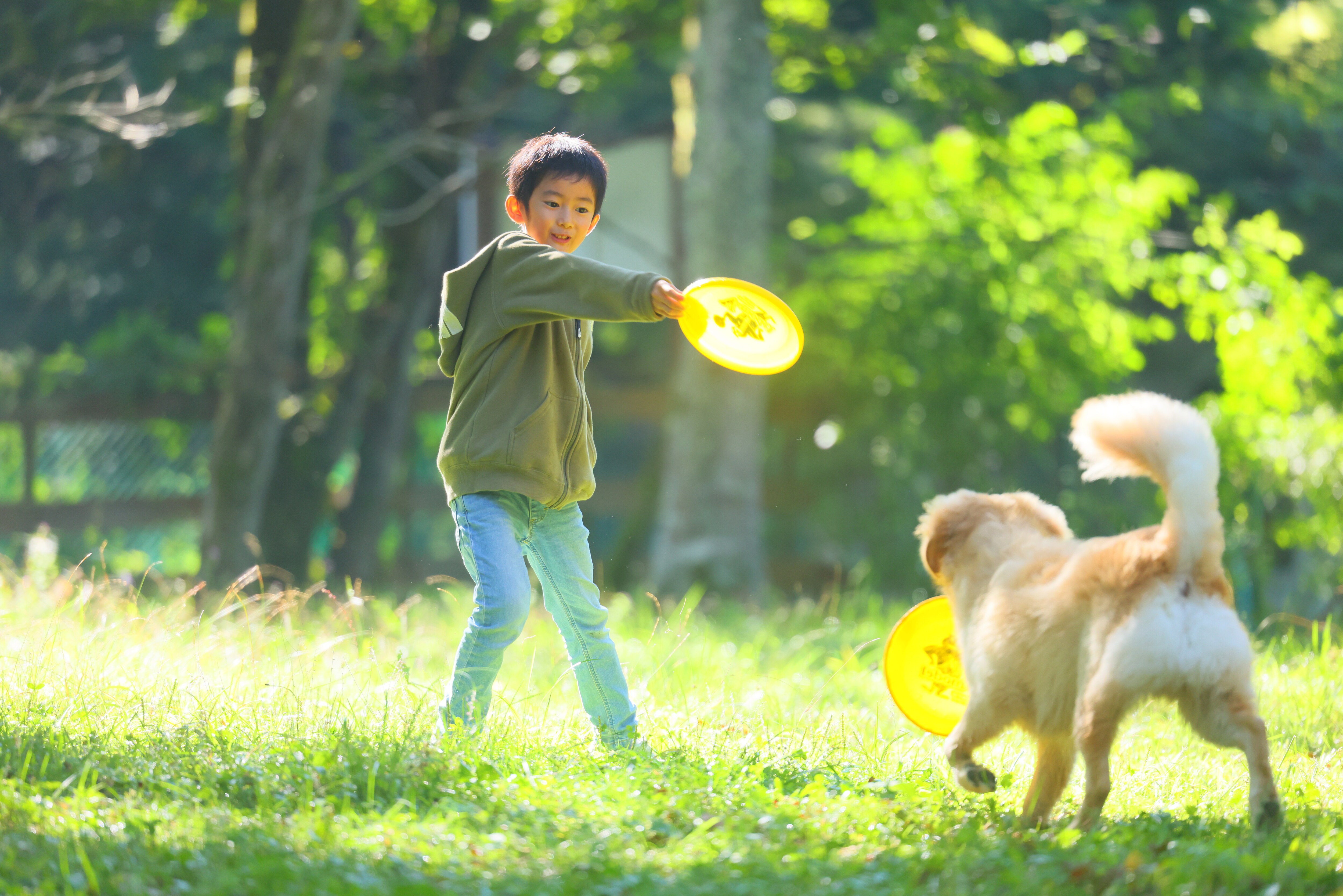 Children and dogs playing at the dog run