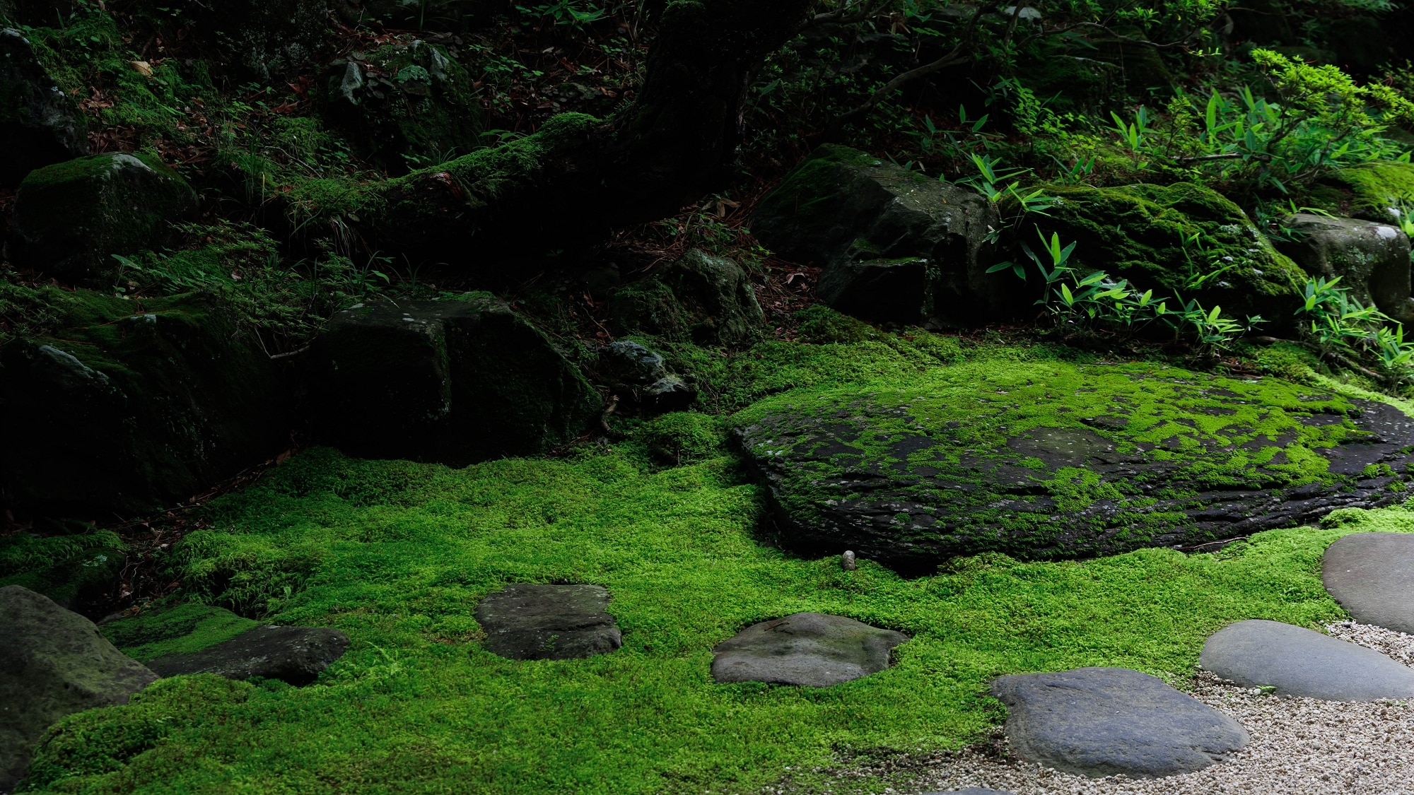 ■The old building and gardens have a long history as the main inn of Shimo-Suwa-juku on the Nakasendo road since the Edo period.
