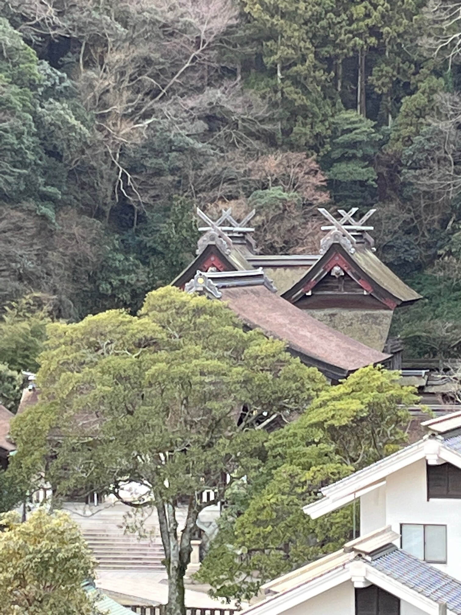 Shrine side Japanese-style room