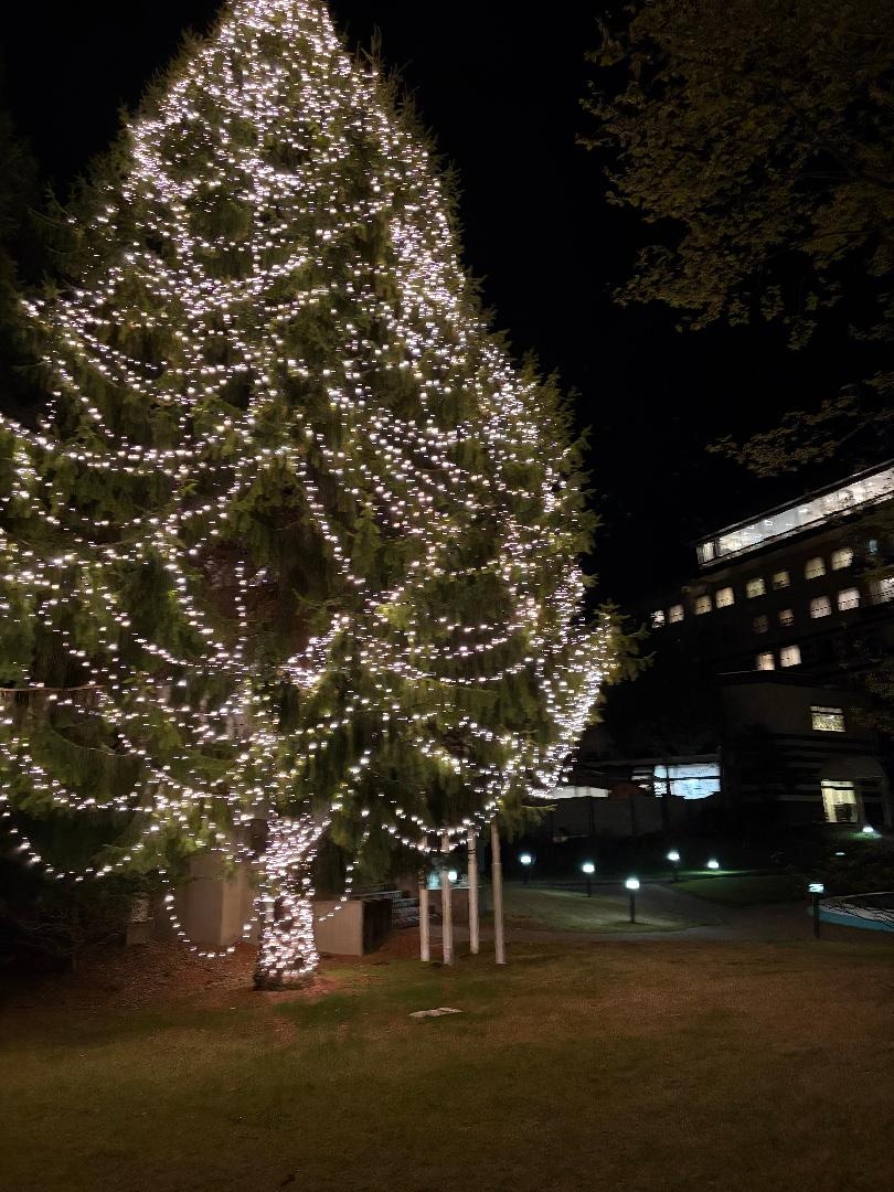 E0DEC732-7DF9-4DA2-A3CF-B84044113C69.jpeg